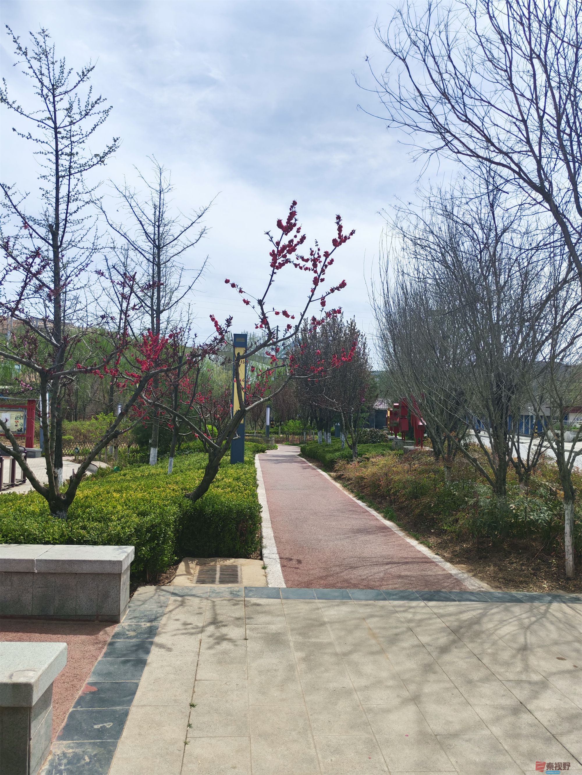 压缩MG_20250415_122635 (83).jpg