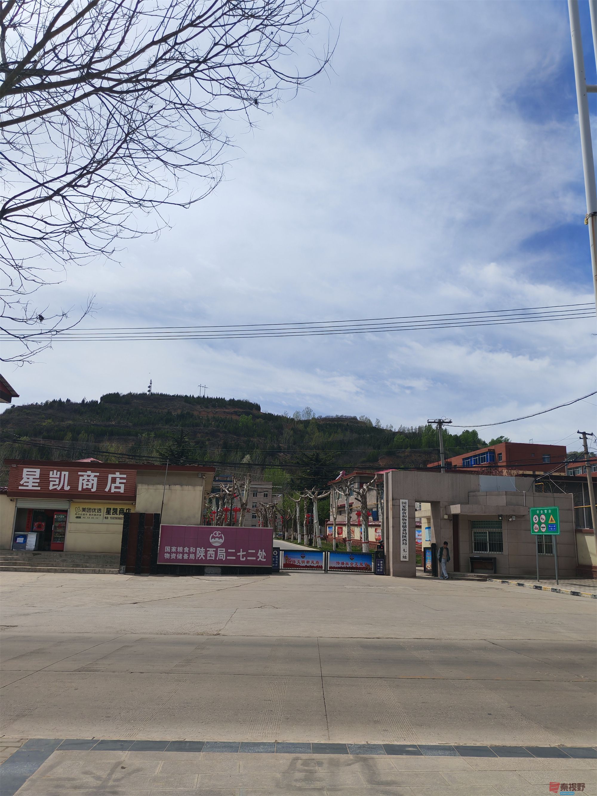 人间最美四月天，铜川王家河湿地公园好风景（9  ）  【摄影