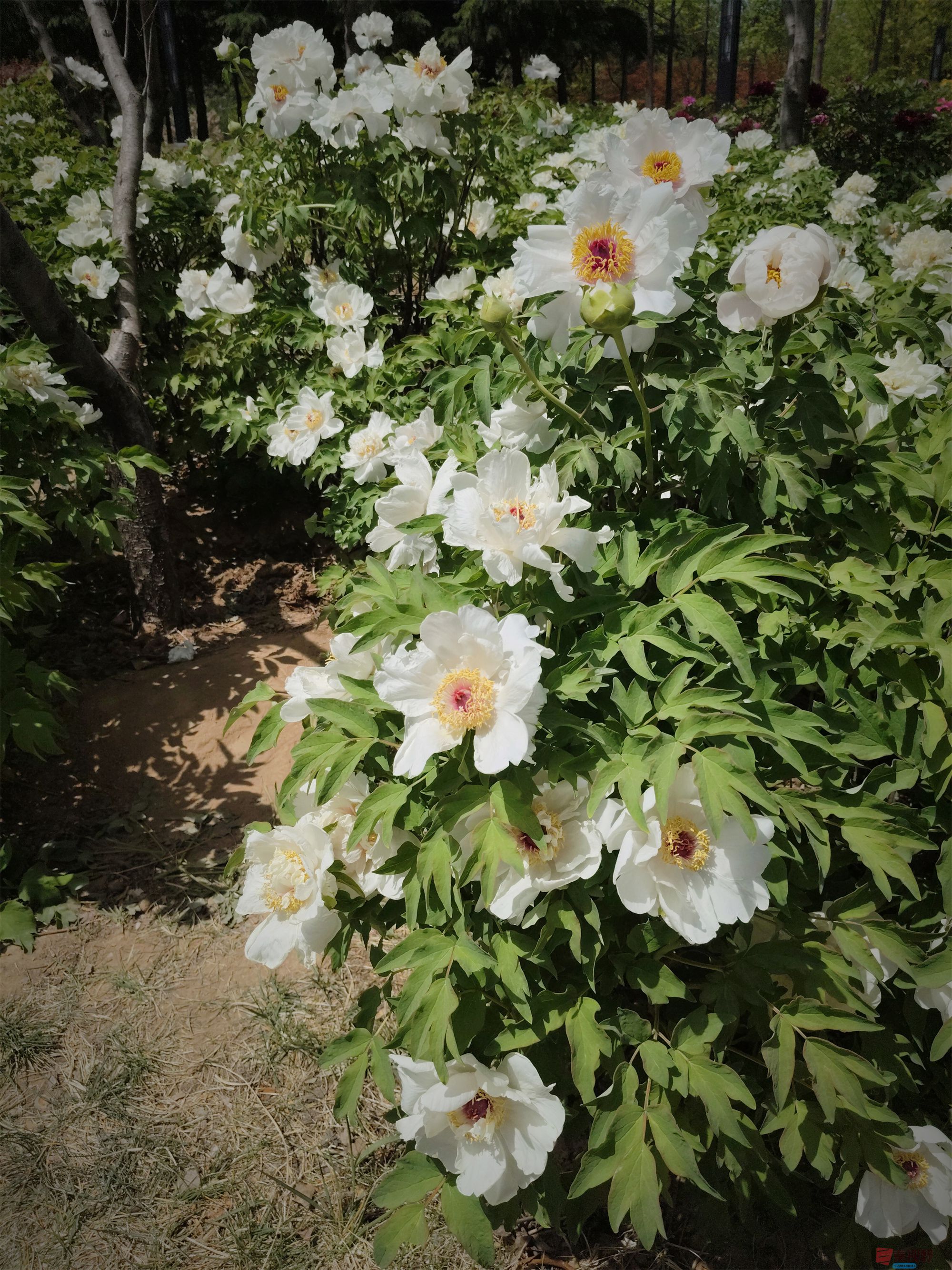 吕卫东压缩_20250417144634 (10).jpg