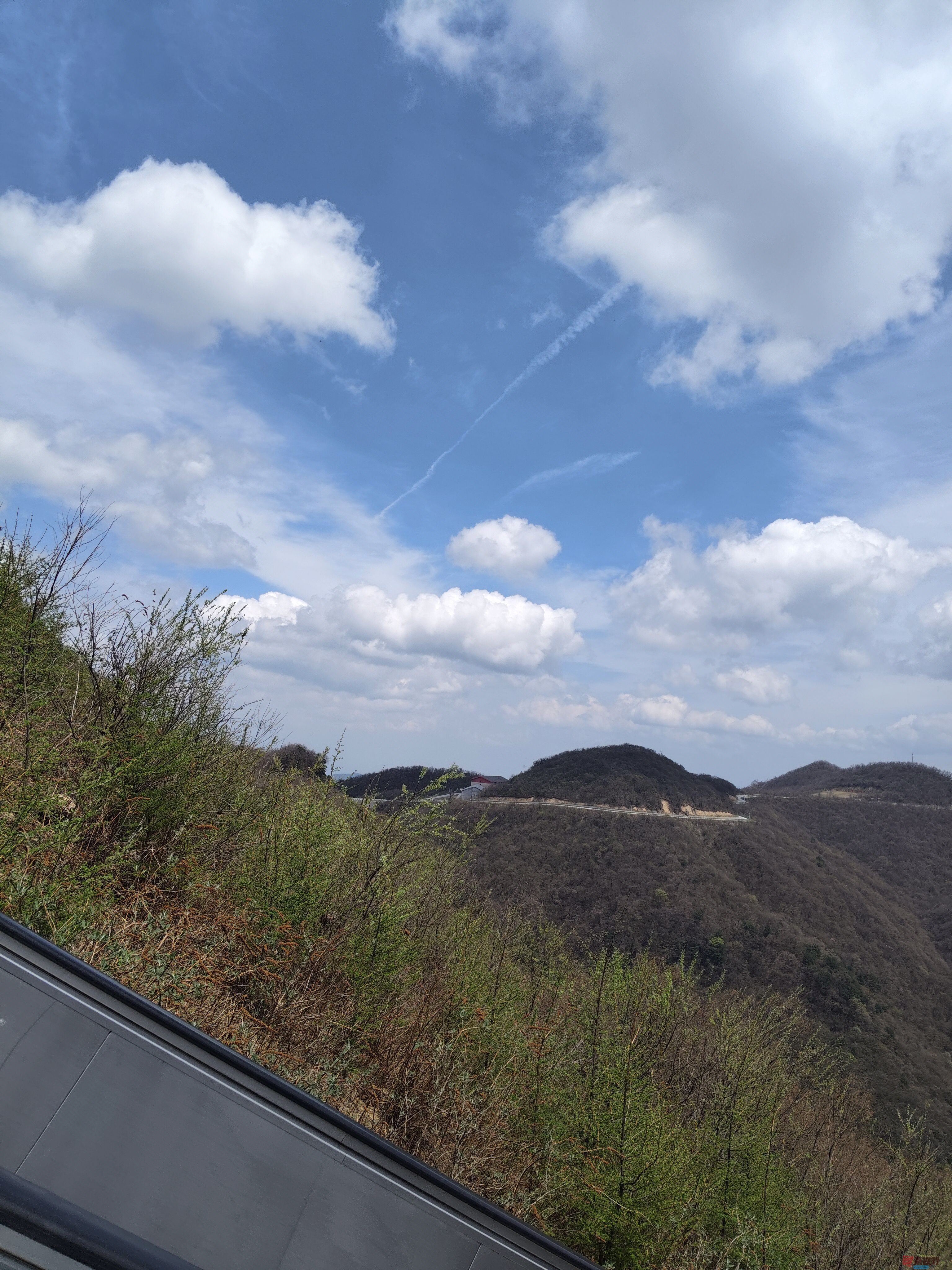 吕卫东_20250420205448 (8).jpg
