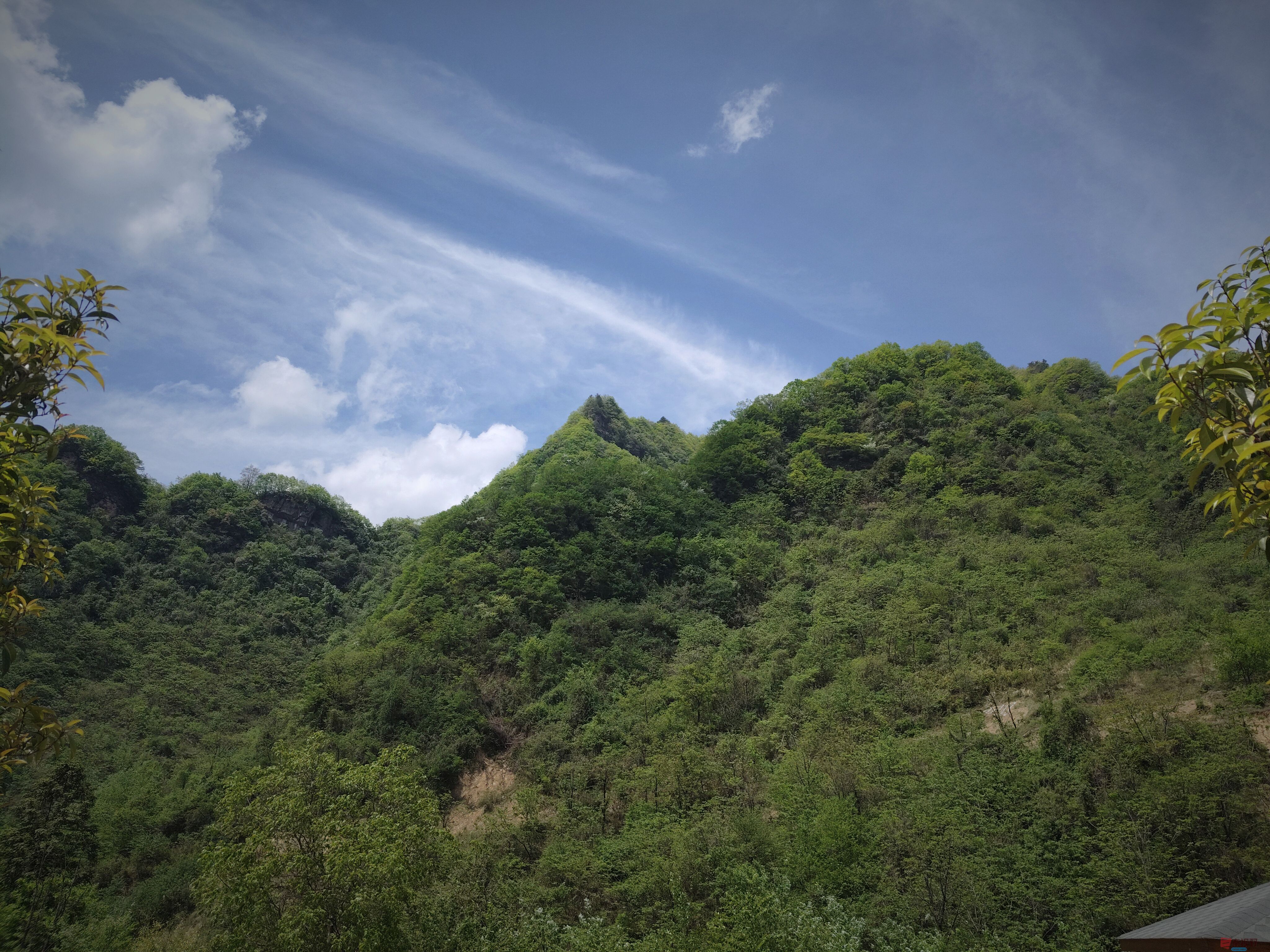 吕卫东_20250420205448 (13).jpg