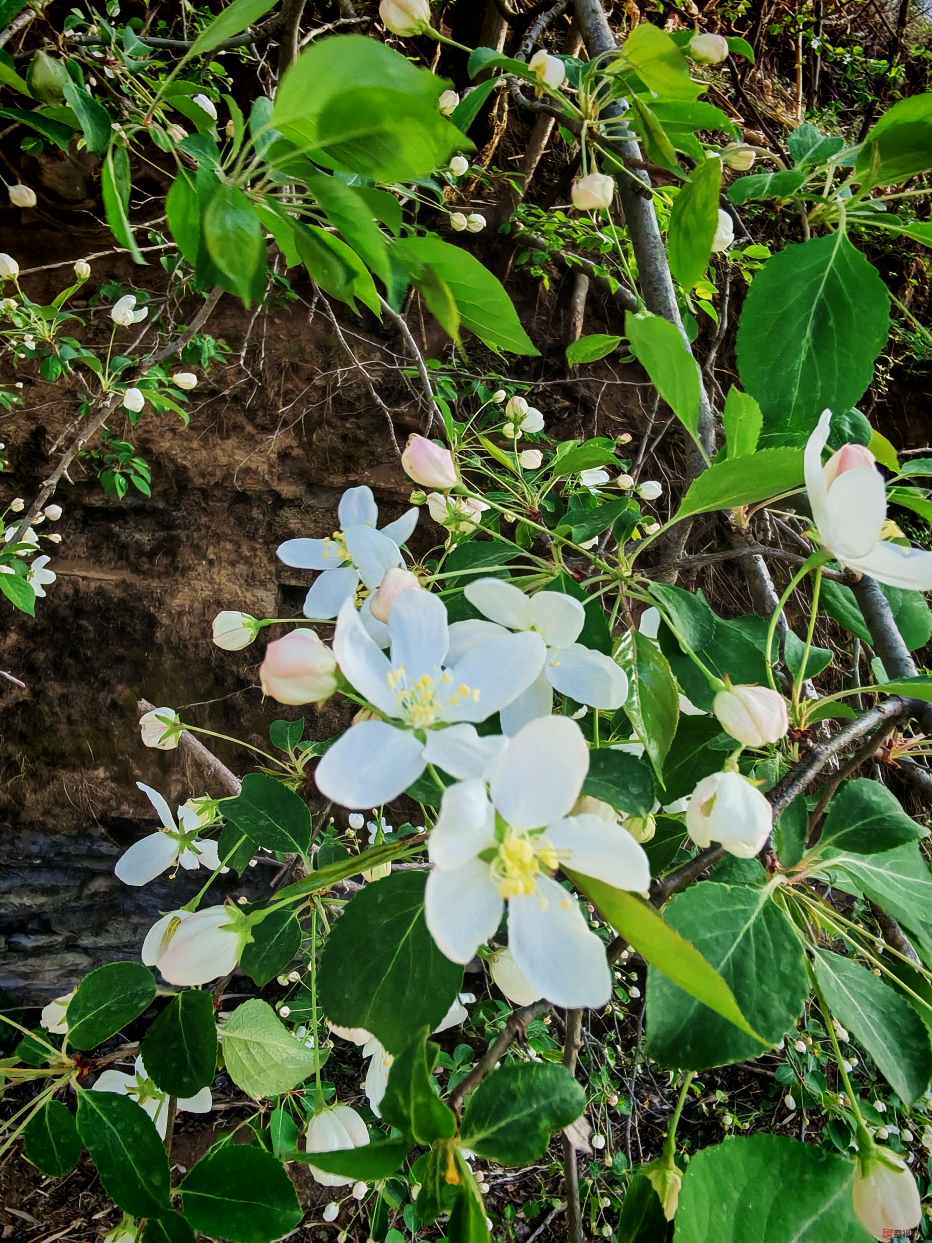 IMG_20250420_172540.jpg