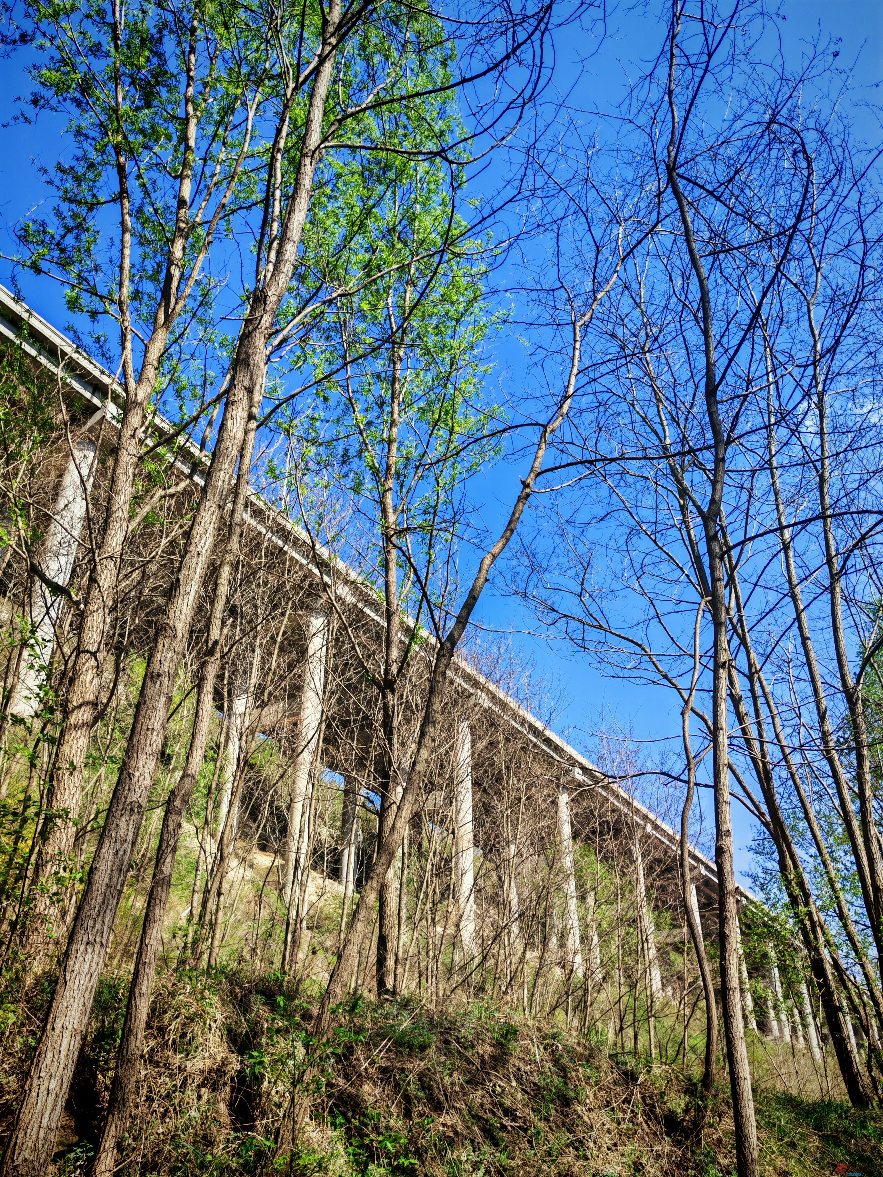 IMG_20250420_155300.jpg