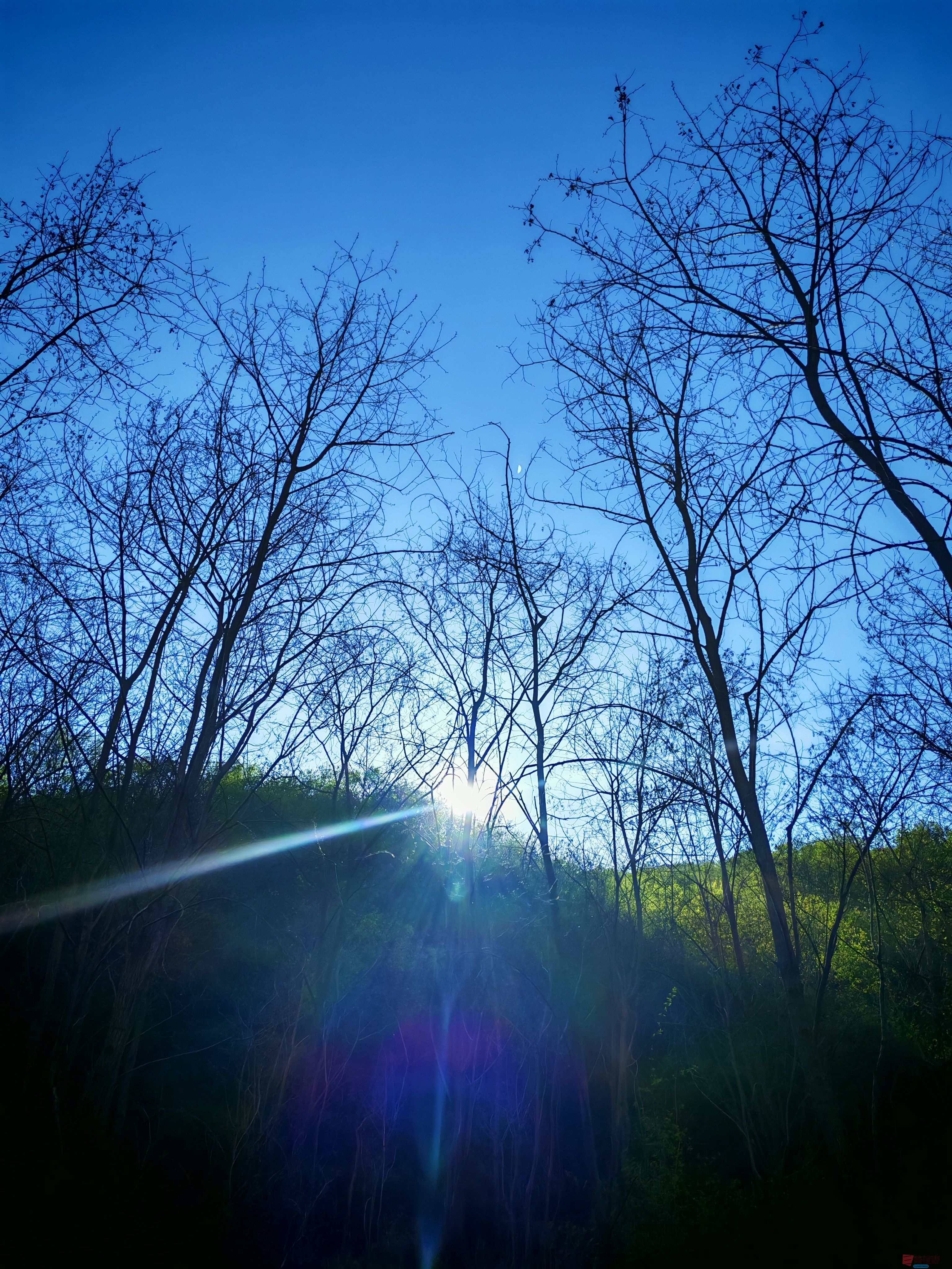 <strong>铜川老区夏日的好去处，大美山水常家河（1）【摄影周春辉】</strong>