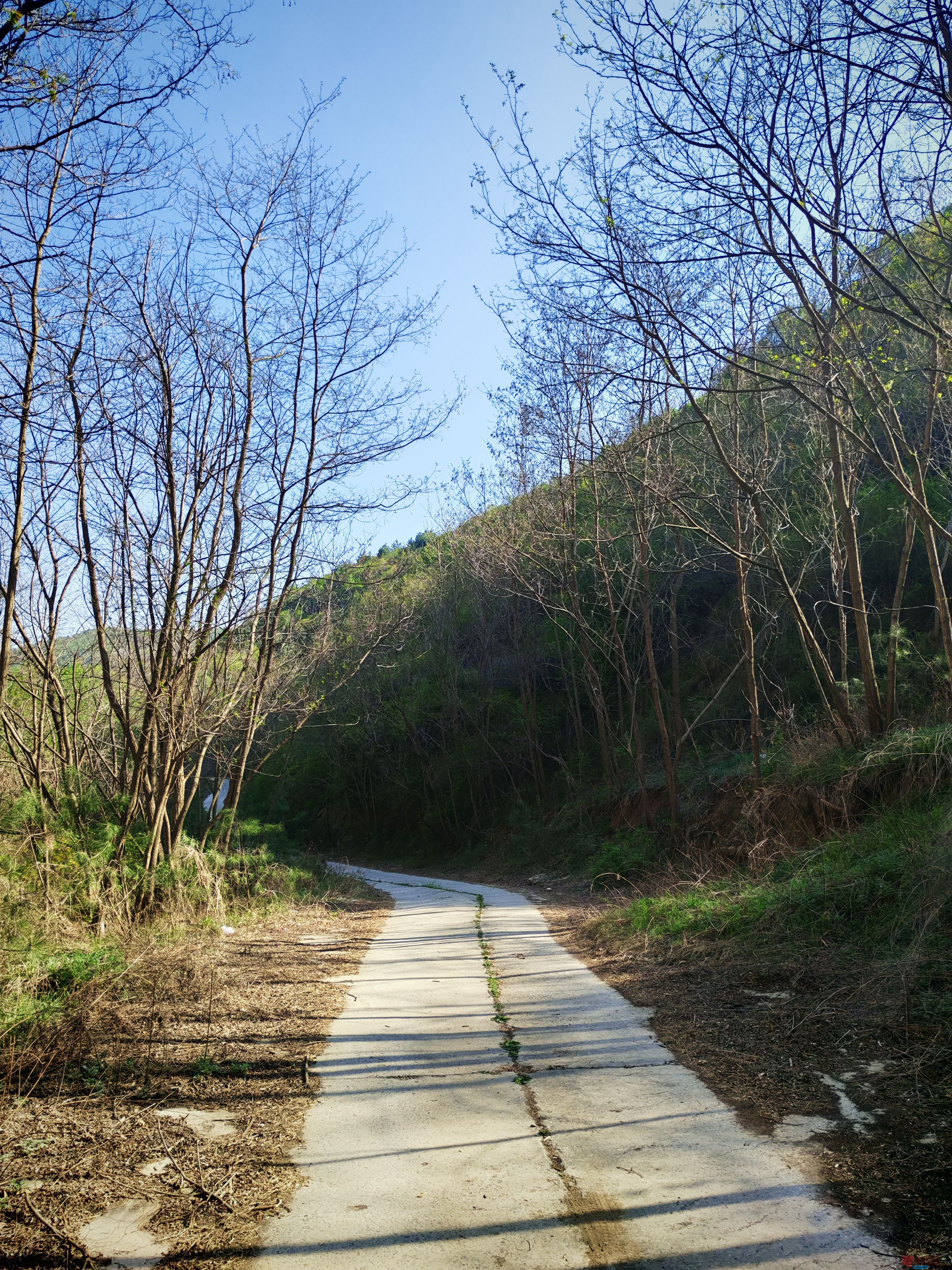 铜川老区夏日的好去处，大美山水常家河（2）【摄影周春辉】