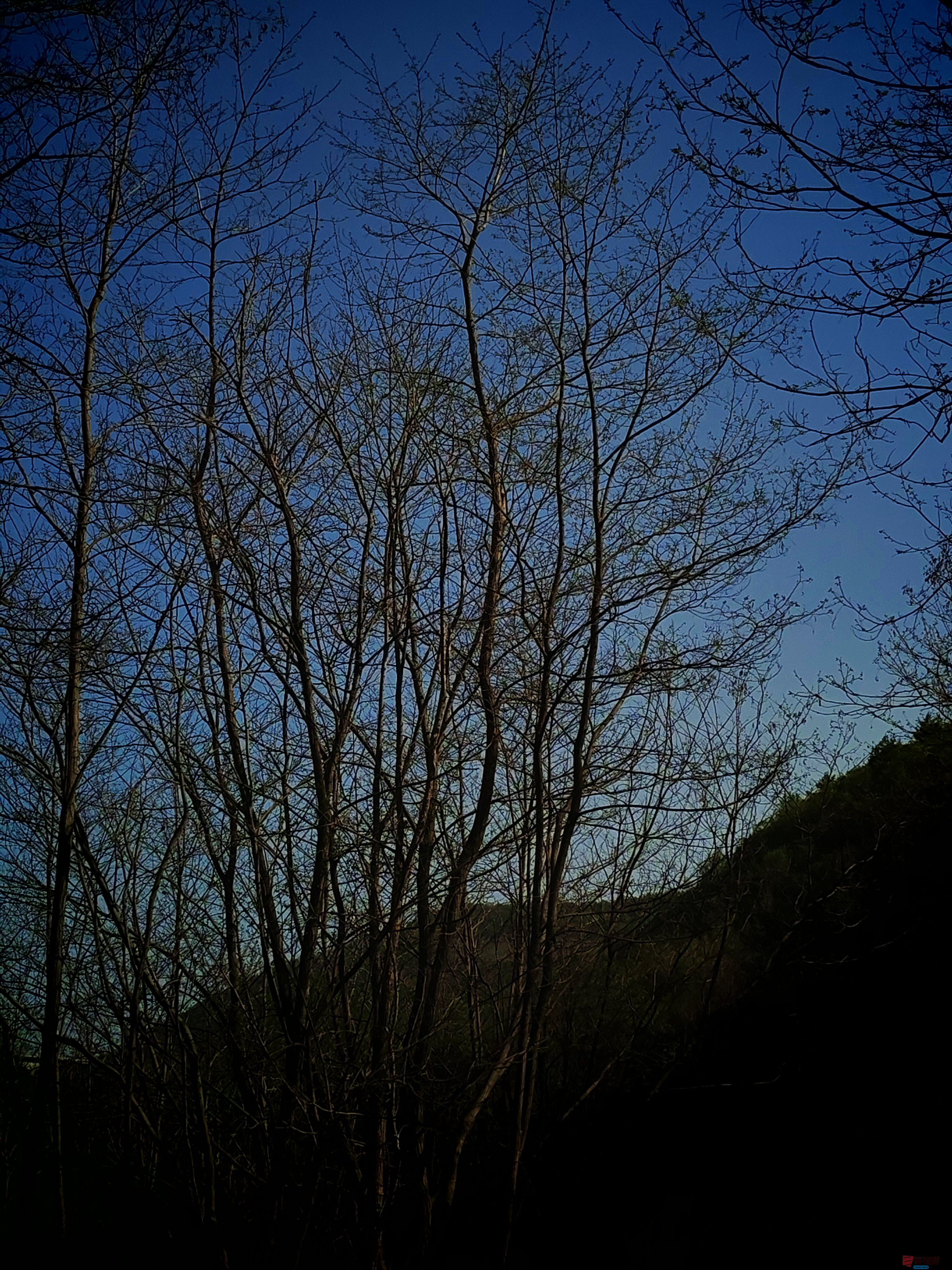 IMG_20250420_161201.jpg