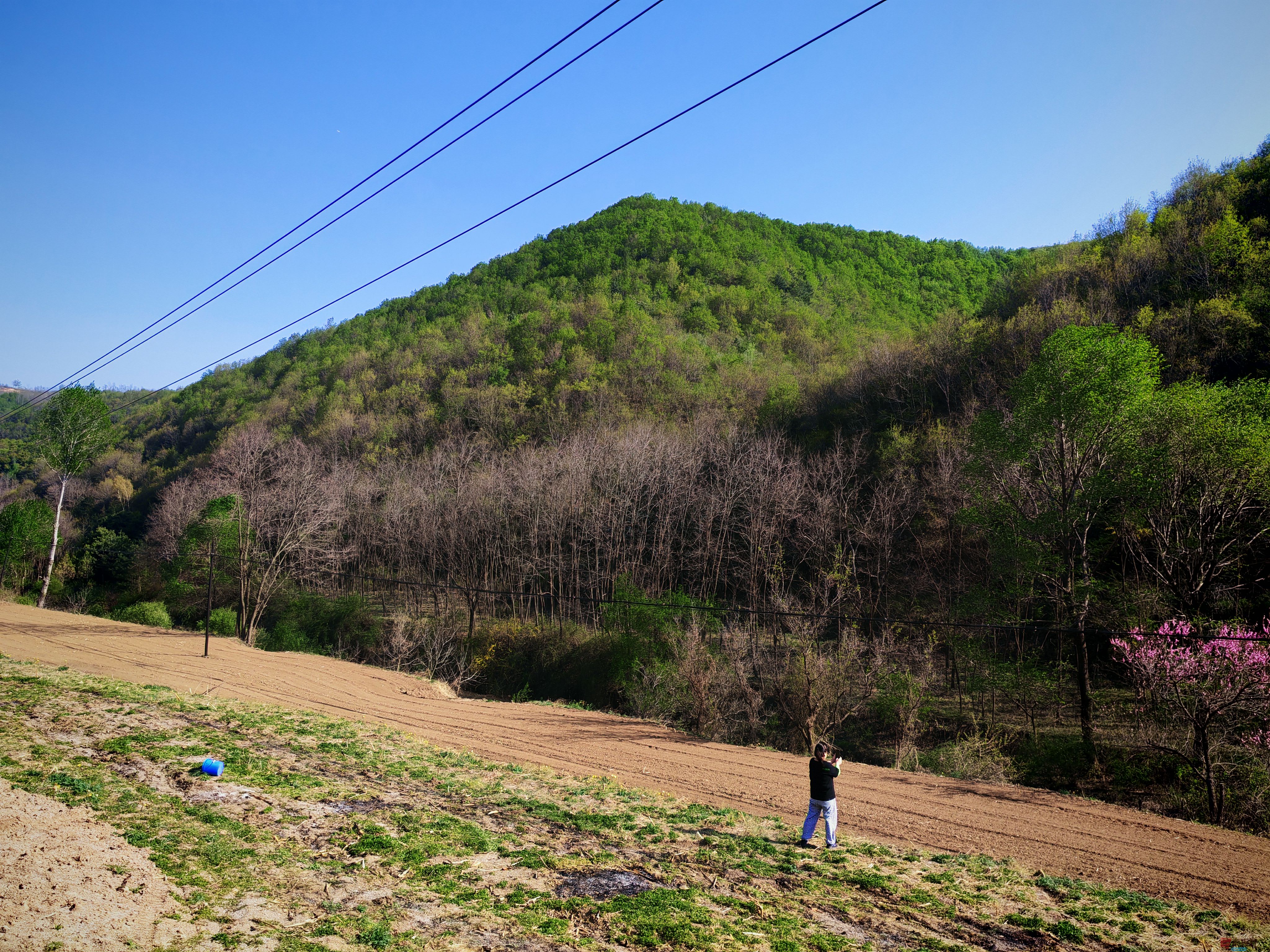 IMG_20250420_162439.jpg