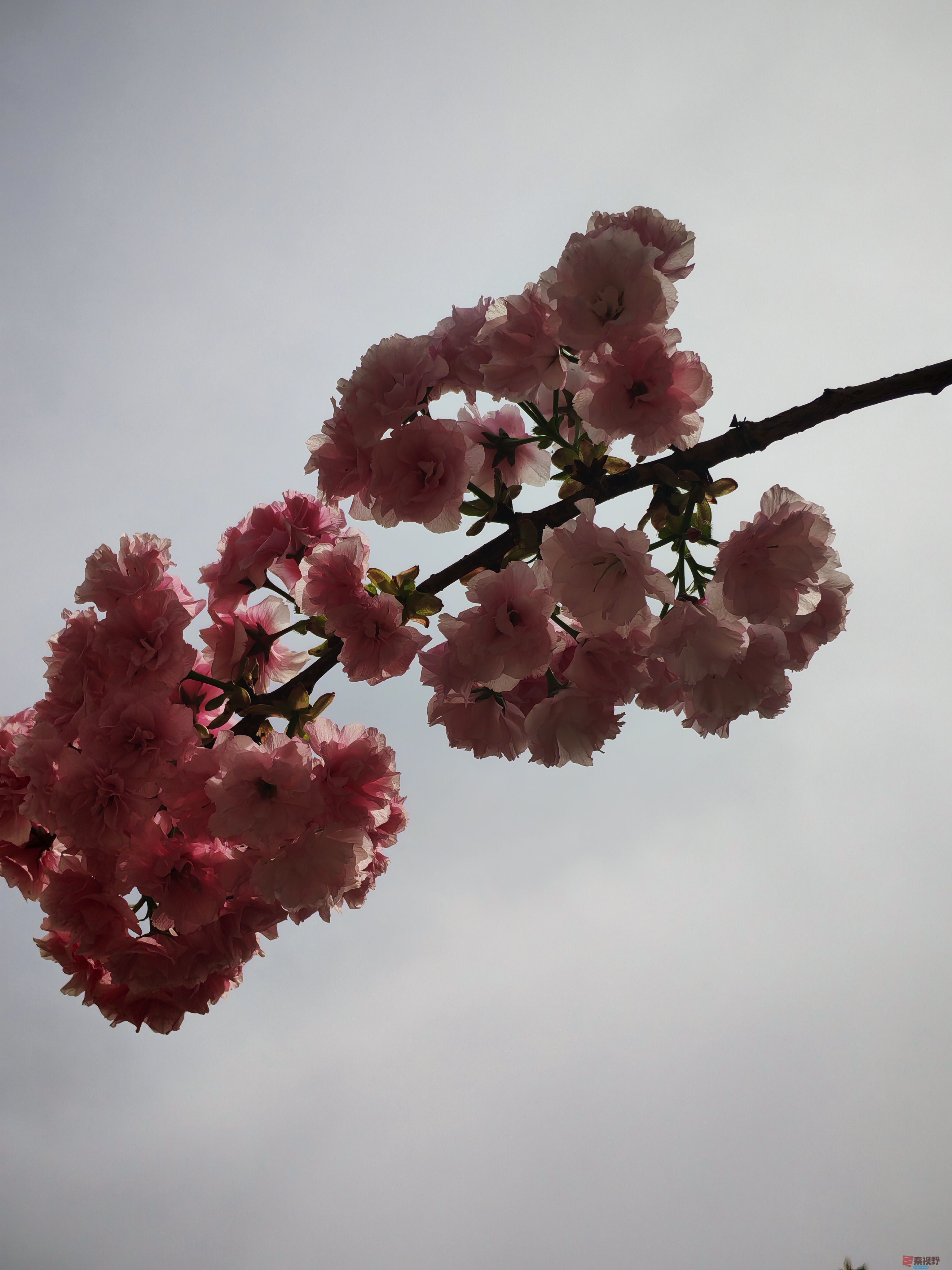 IMG_20250422_115504.jpg