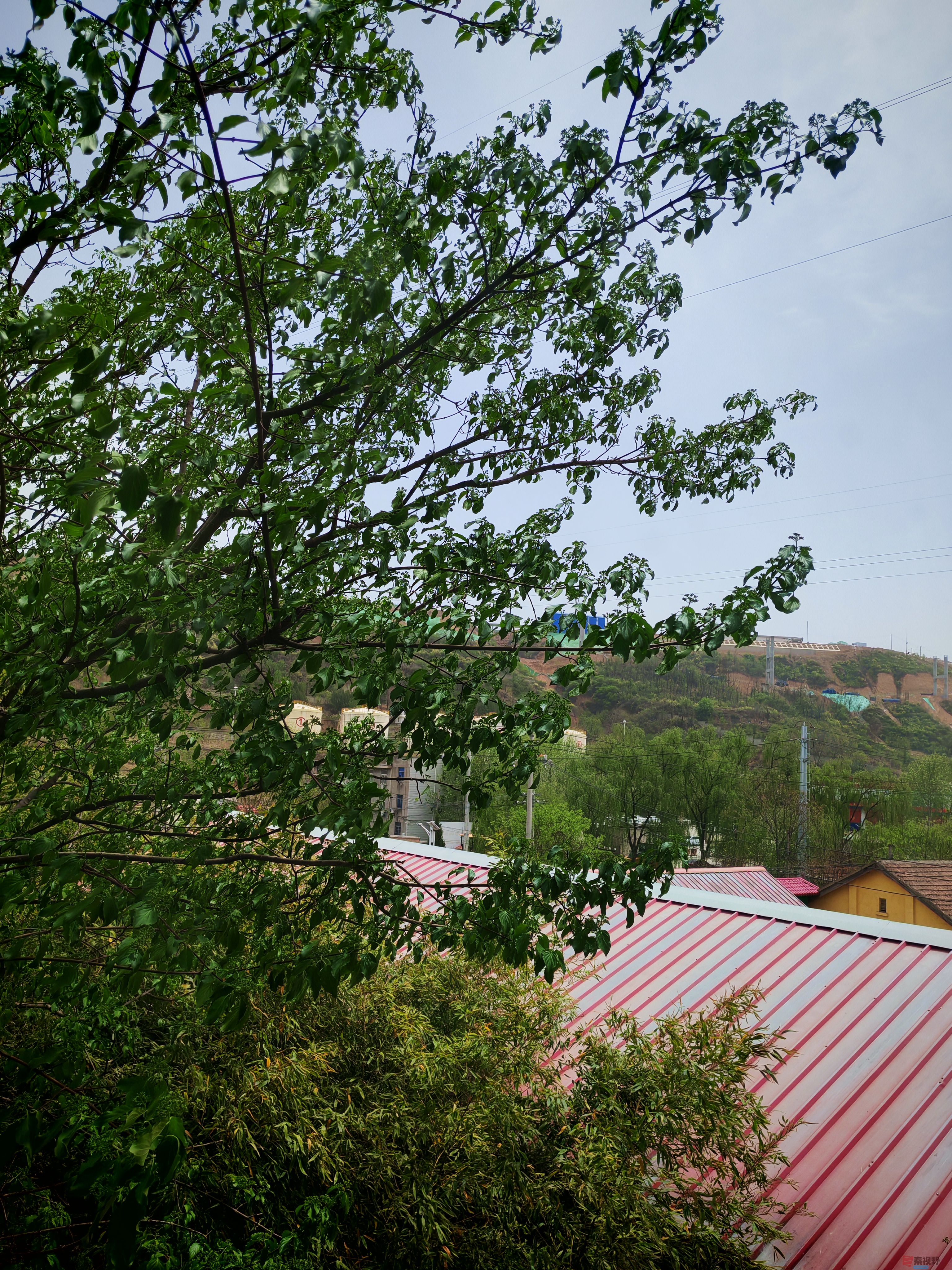IMG_20250422_121348.jpg