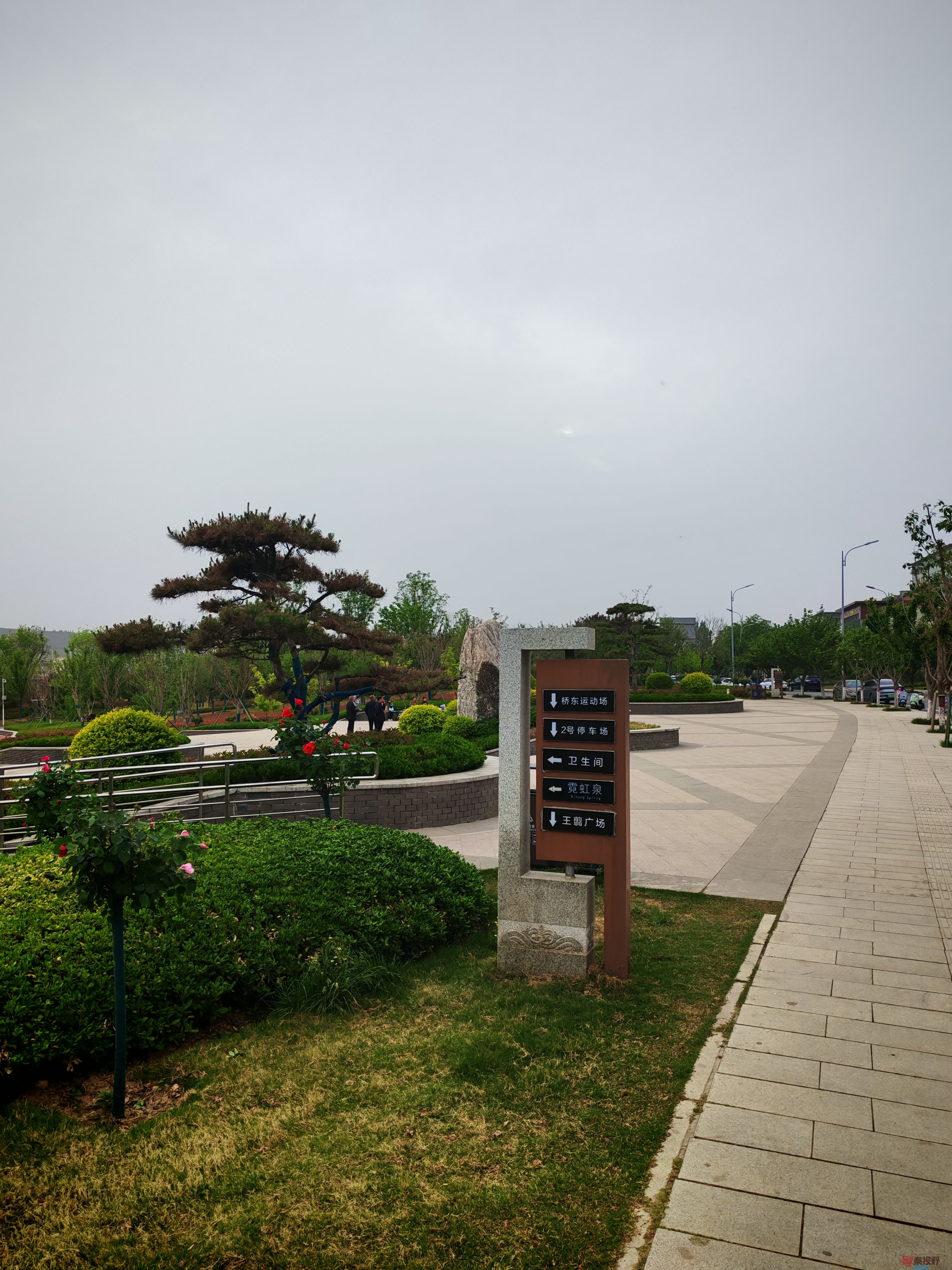 IMG_20250422_180753.jpg