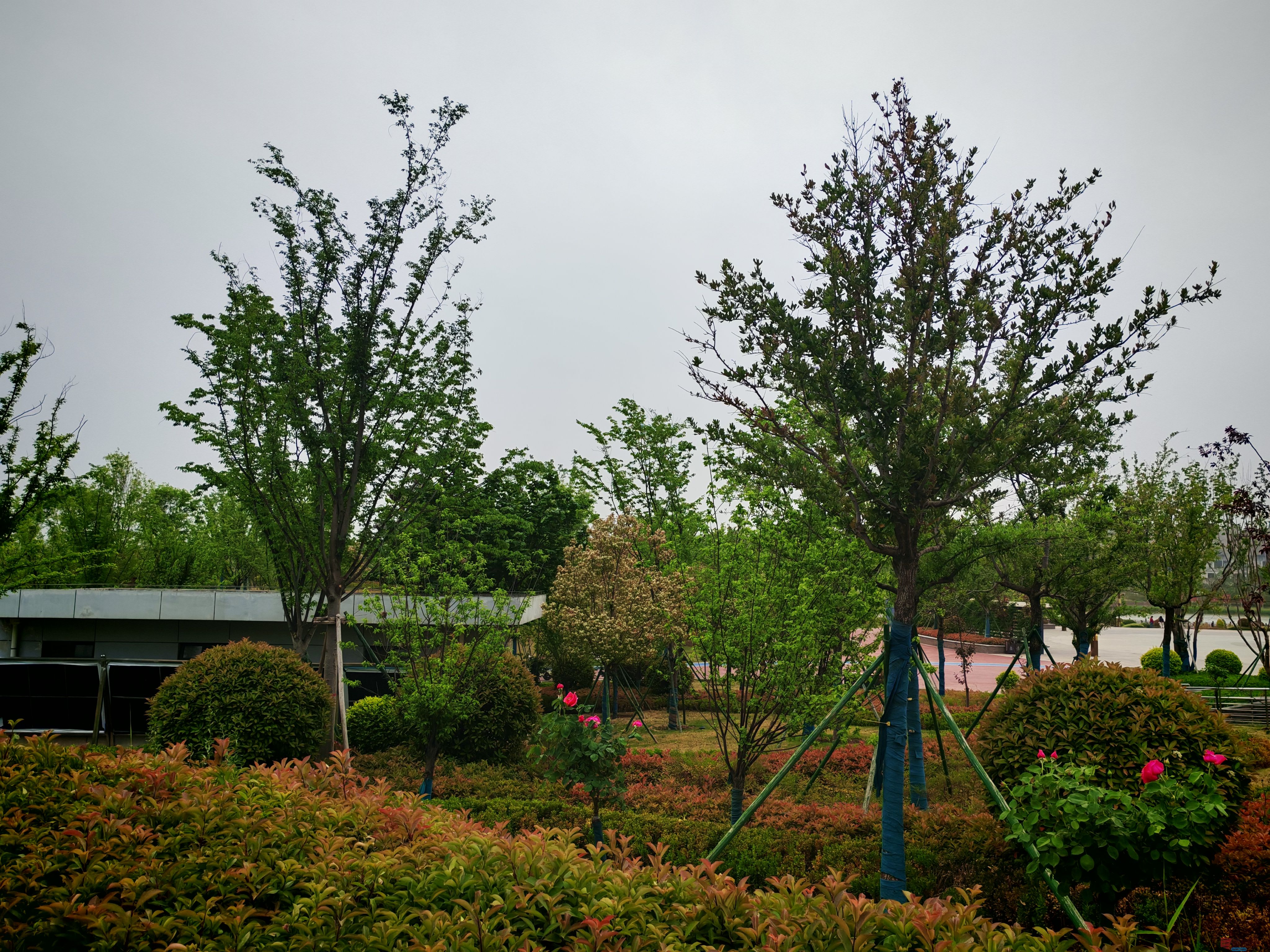IMG_20250422_180759.jpg