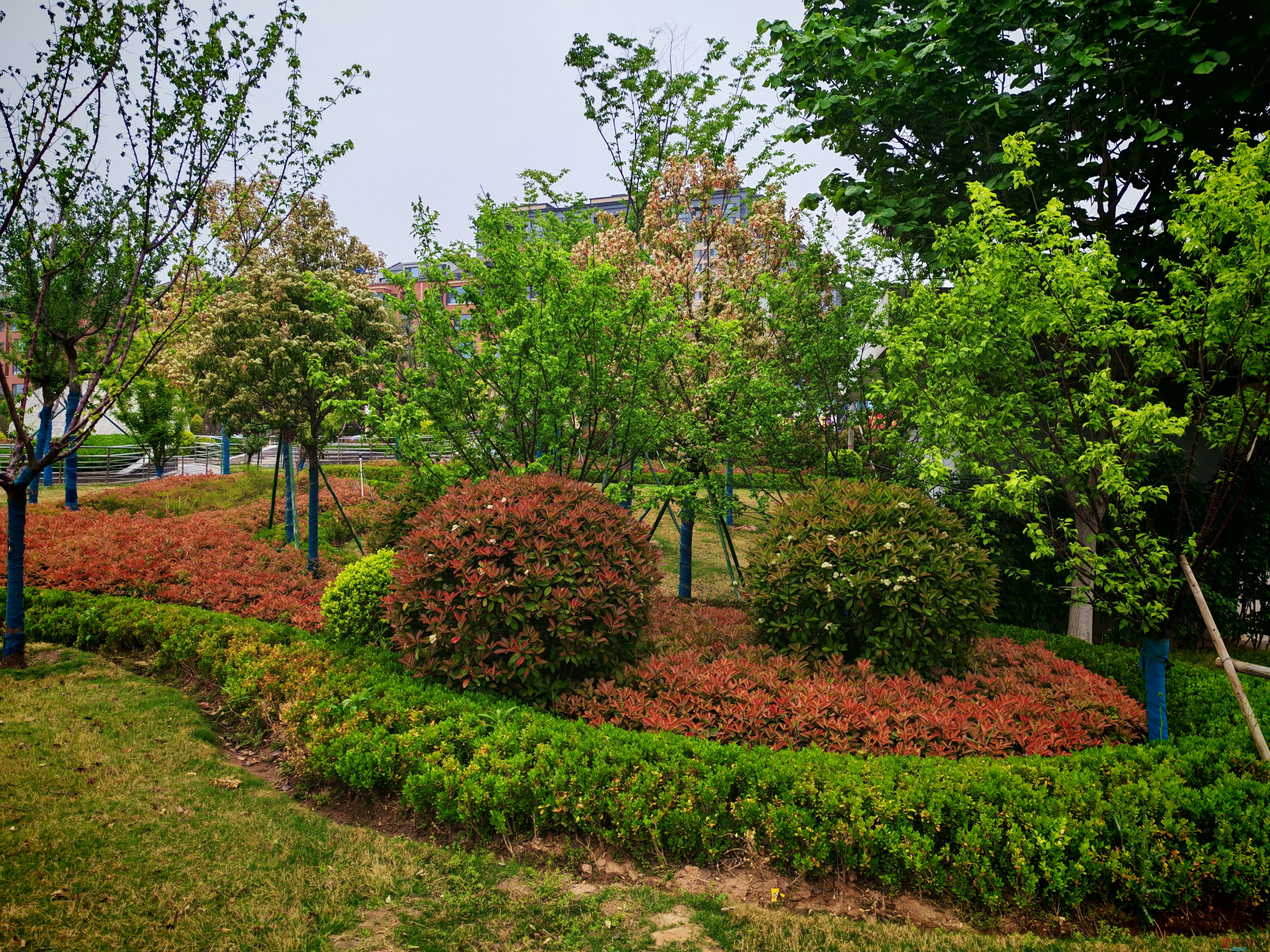 IMG_20250422_181312.jpg