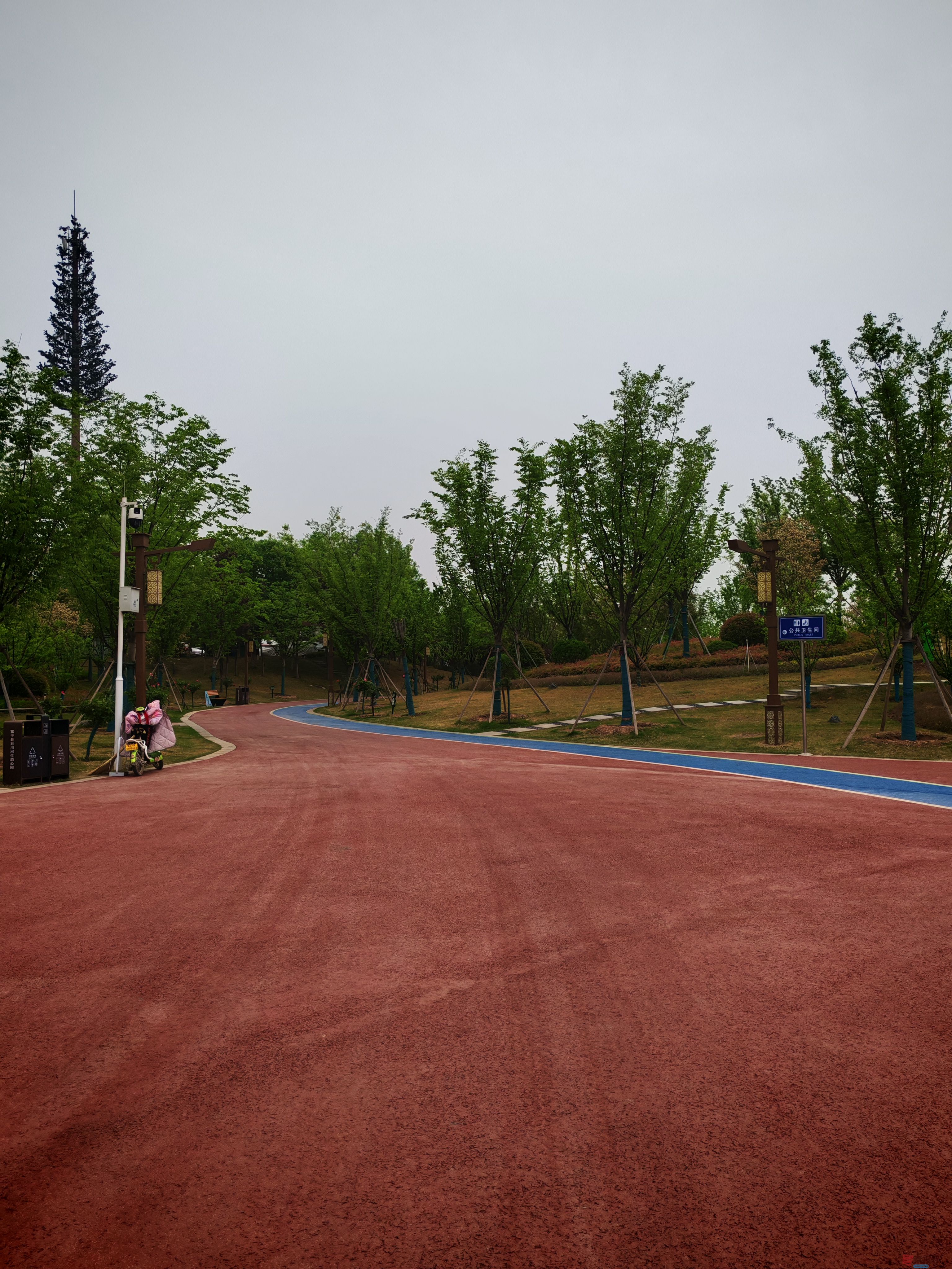 IMG_20250422_181425.jpg