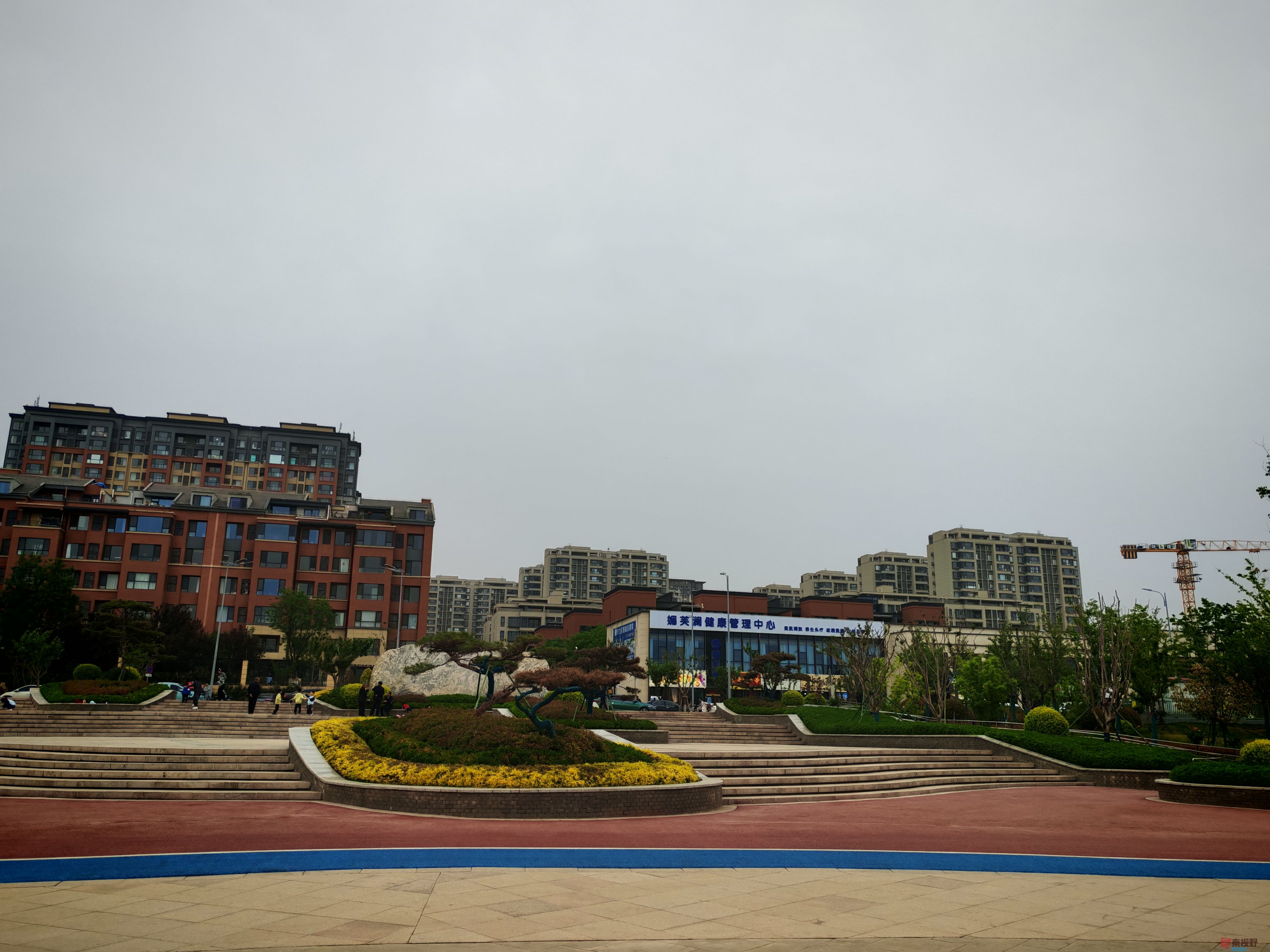IMG_20250422_181546.jpg