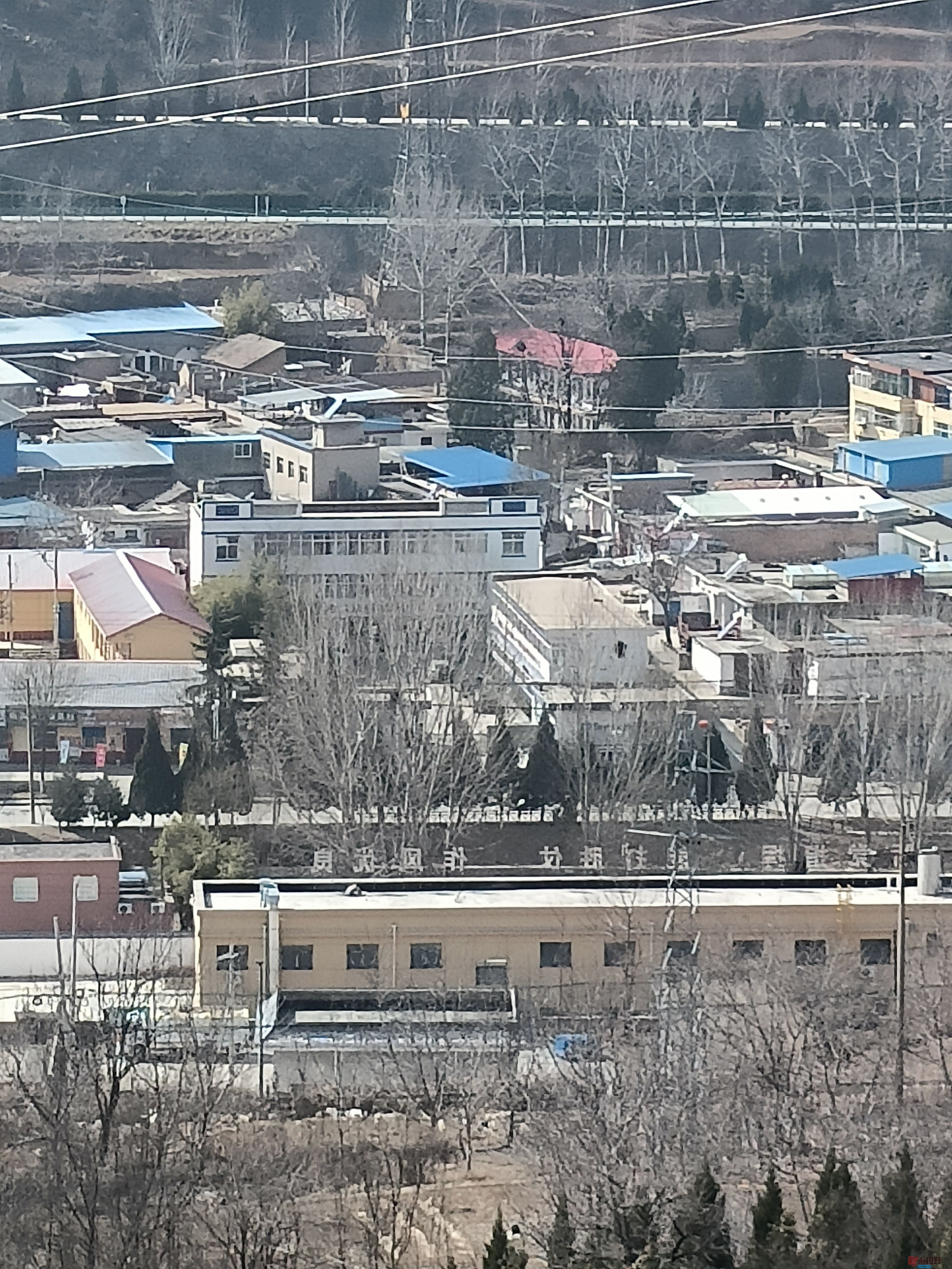 mmexport1741521523589.jpg