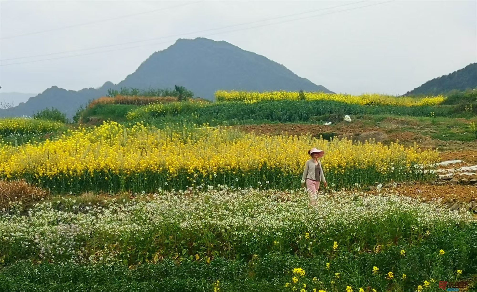 李雪平压缩_20250425112803 (9).jpg