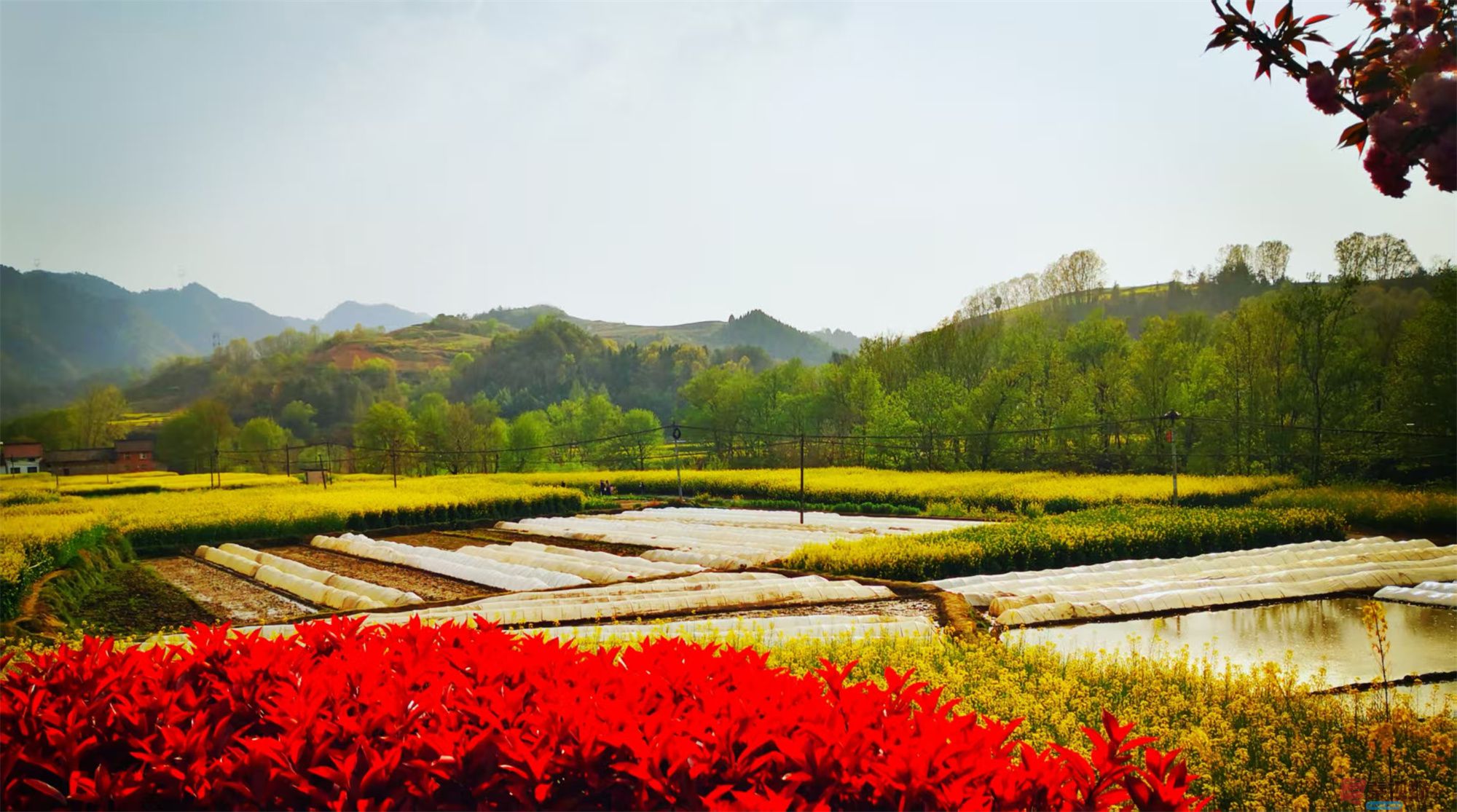 李雪平_20250425113735 (2).jpg
