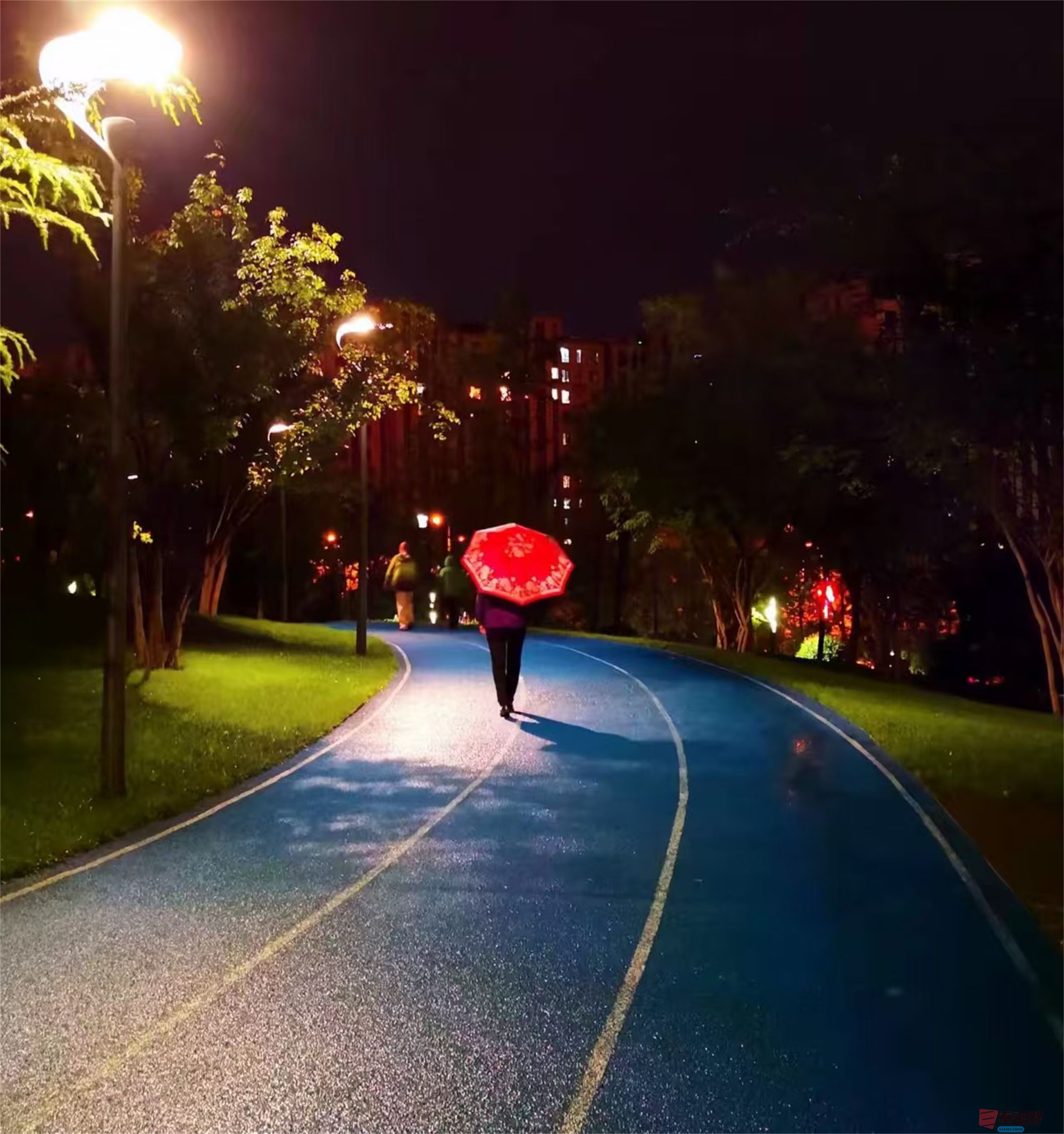 李雪平_20250425114349 (1).jpg