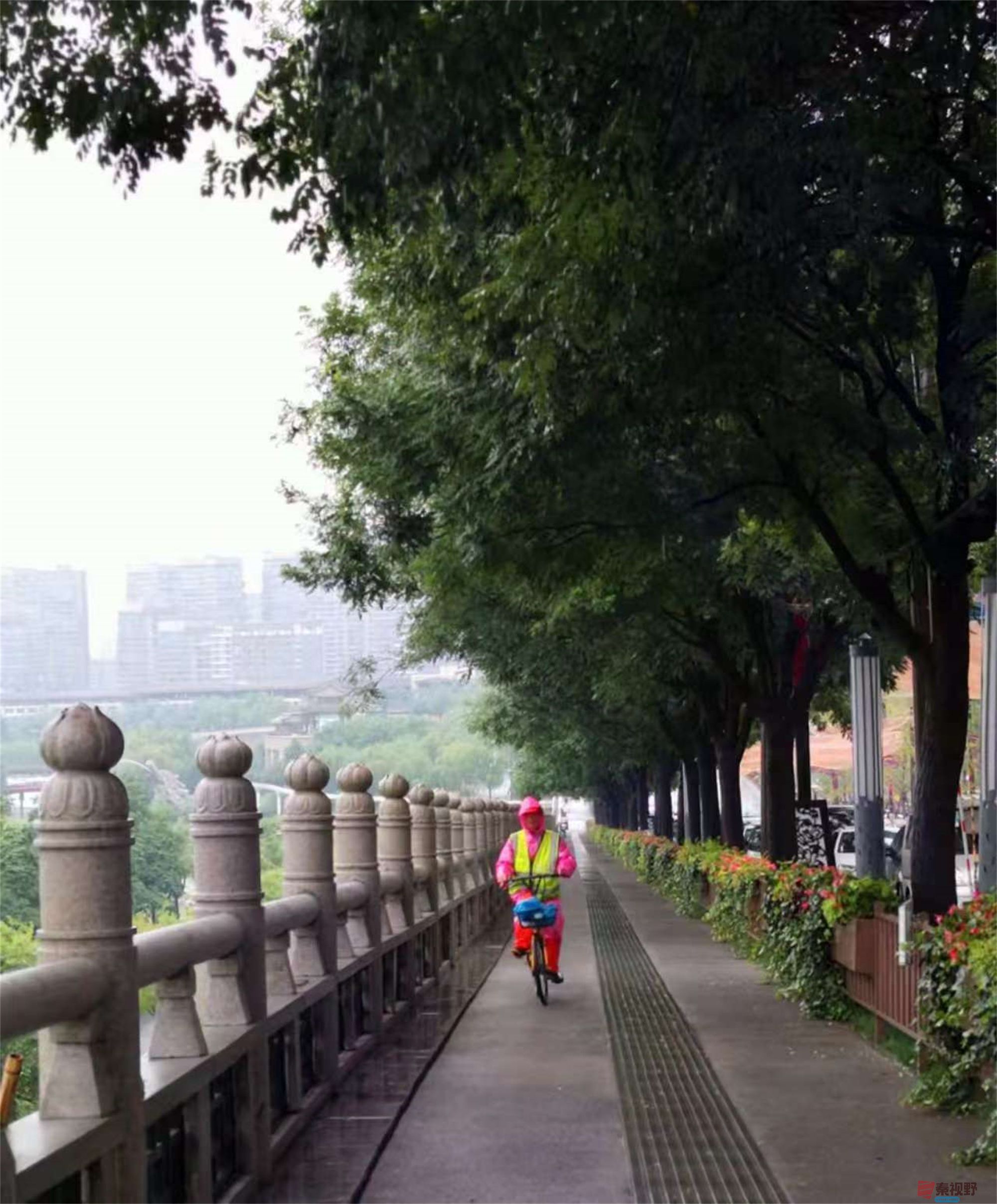 李雪平_20250425114349 (6).jpg