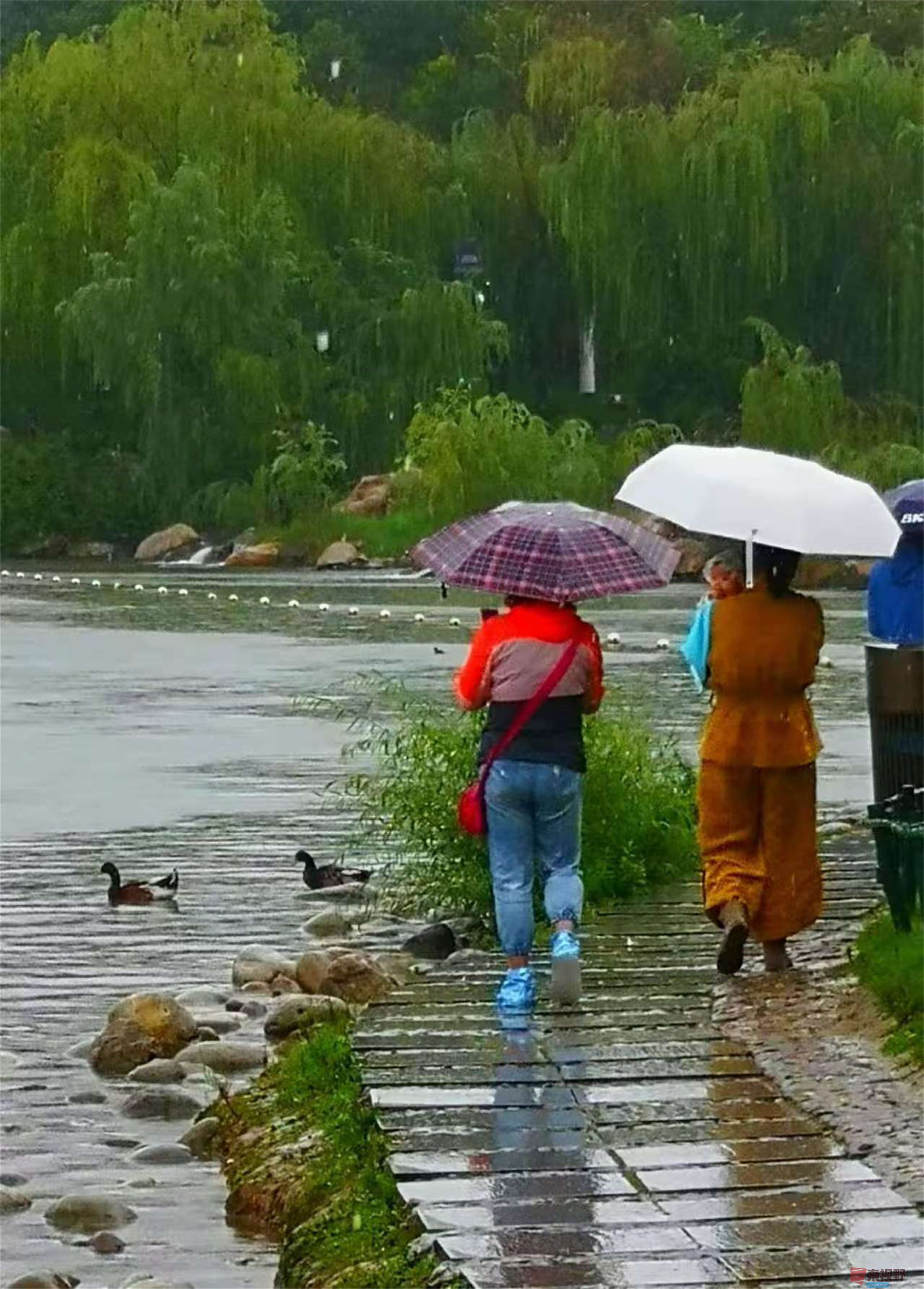 李雪平_20250425114349 (8).jpg