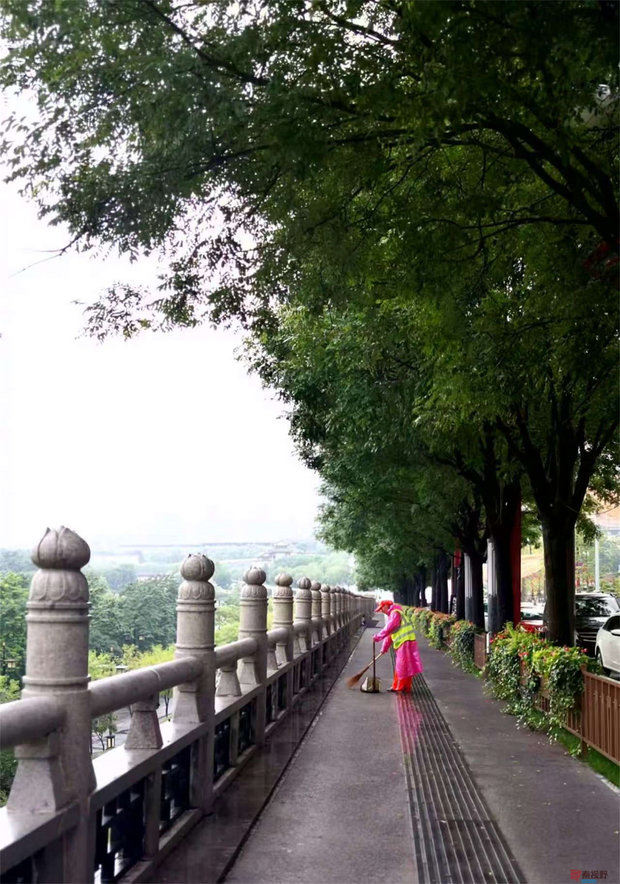 李雪平_20250425114349 (10).jpg