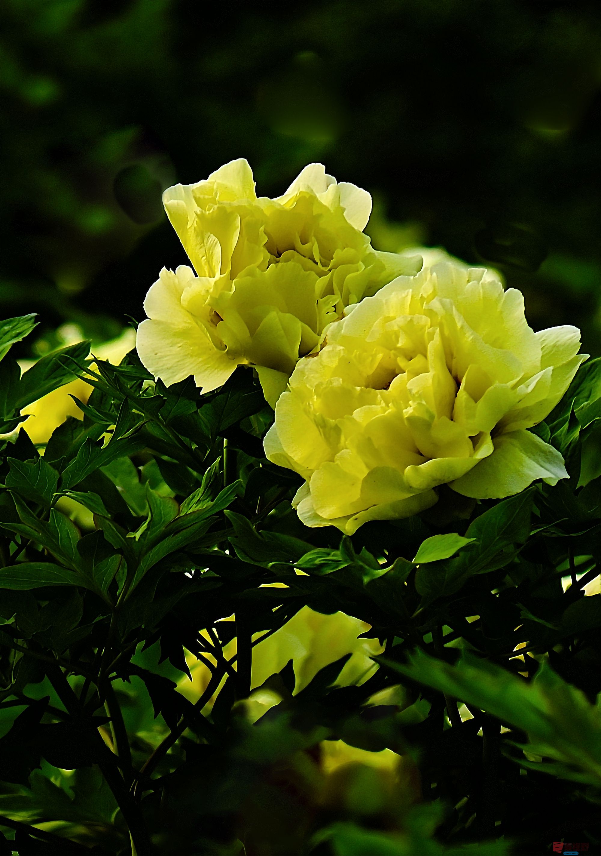 肖宝清_20250425113442 (1).jpg