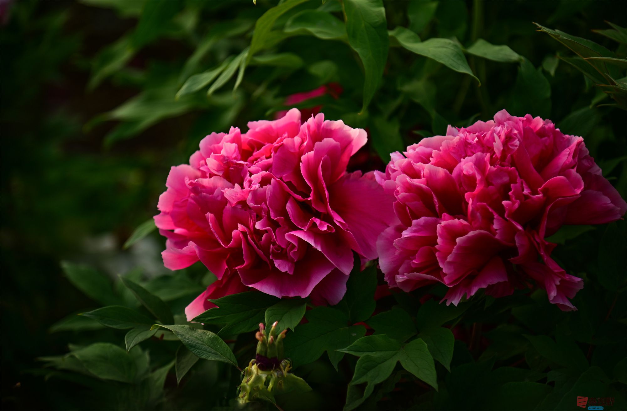 肖宝清_20250425113442 (7).jpg