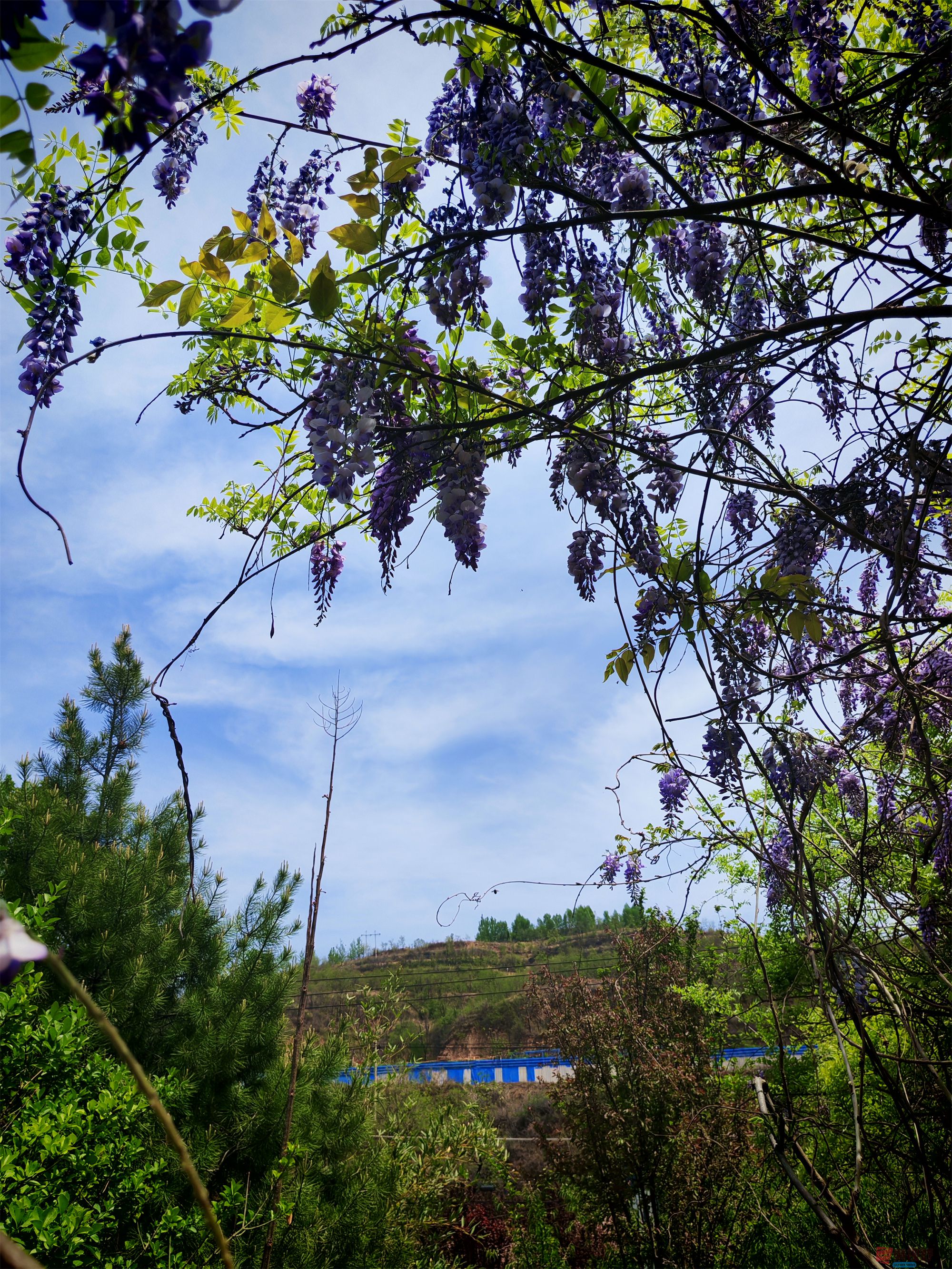 IMG_20250425_122459压缩 (89).jpg