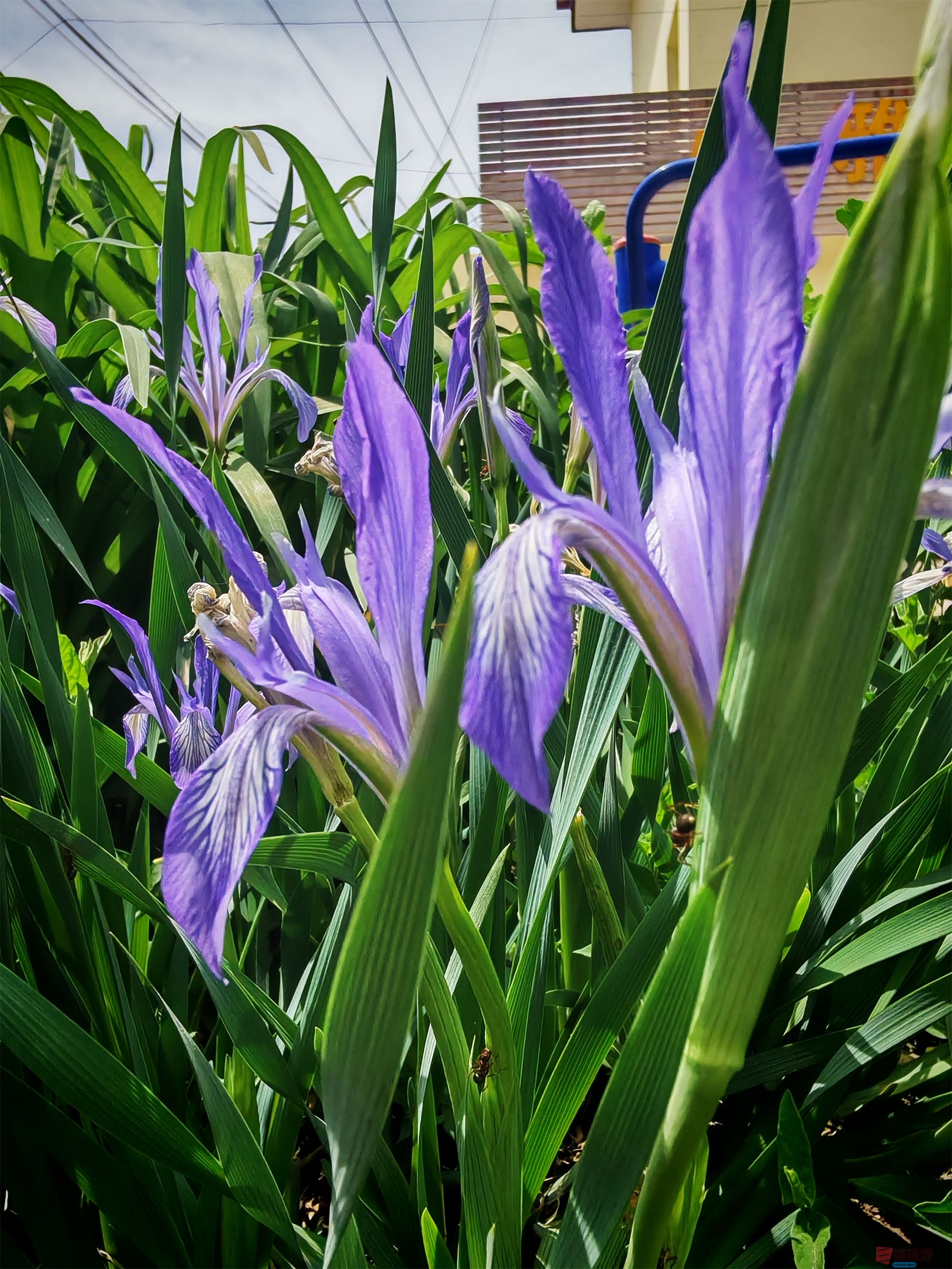 IMG_20250425_122459压缩 (174).jpg