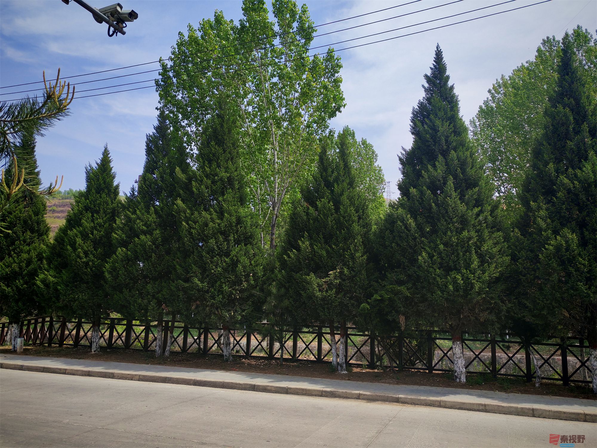IMG_20250425_122459压缩 (1).jpg