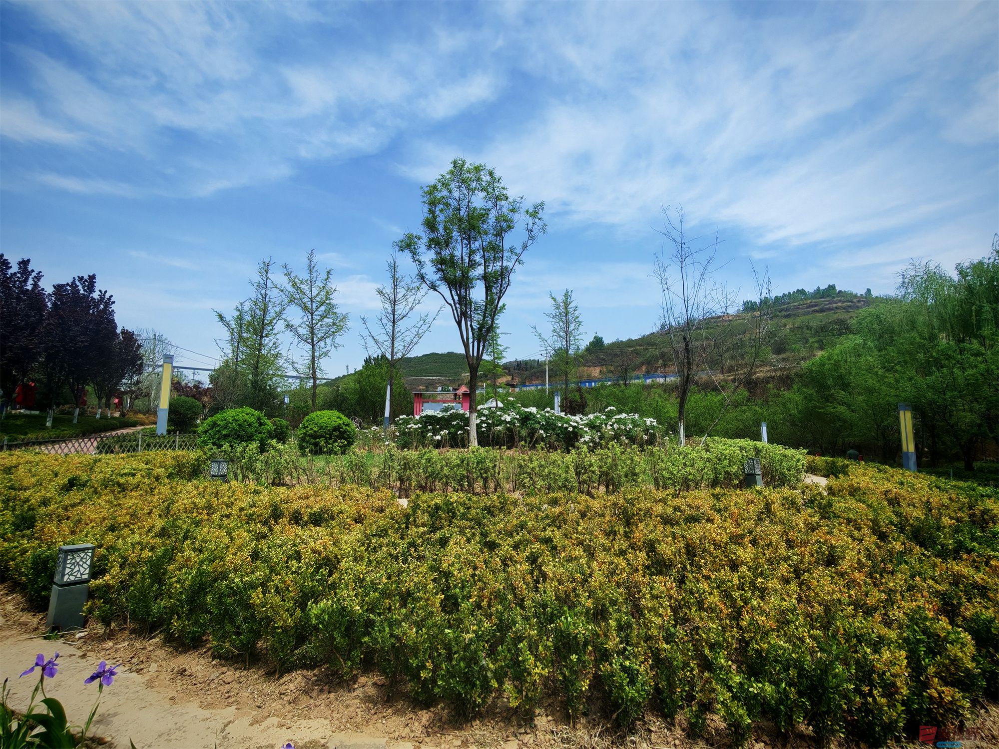 IMG_20250425_122459压缩 (10).jpg