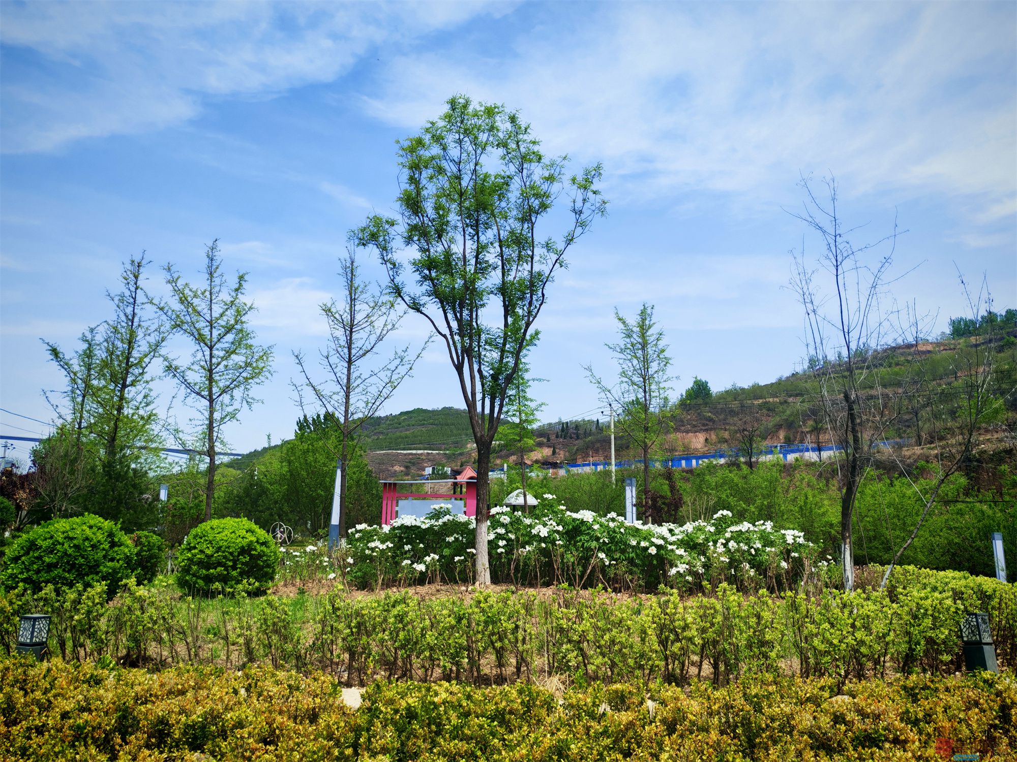 IMG_20250425_122459压缩 (11).jpg