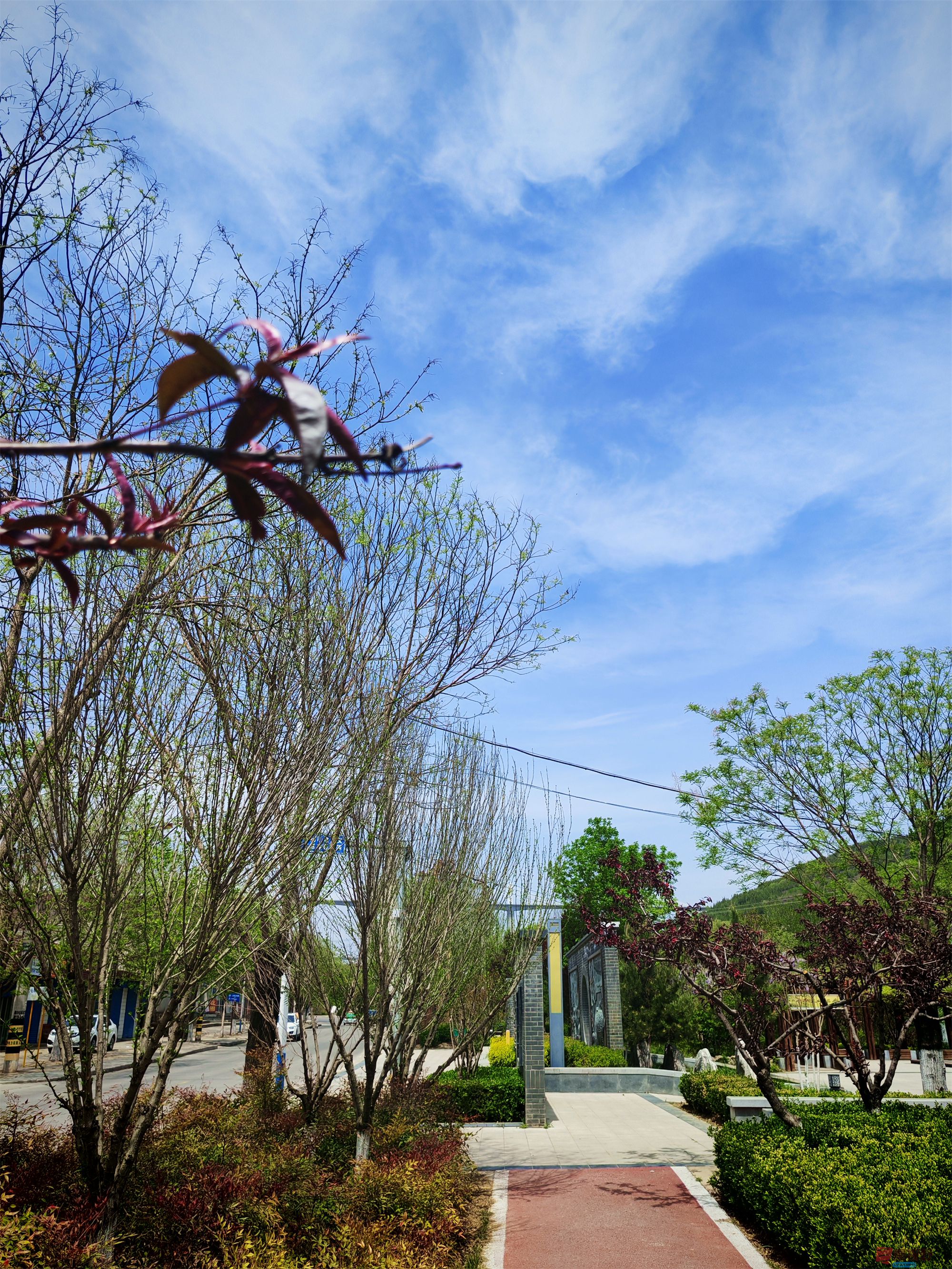 IMG_20250425_122459压缩 (56).jpg