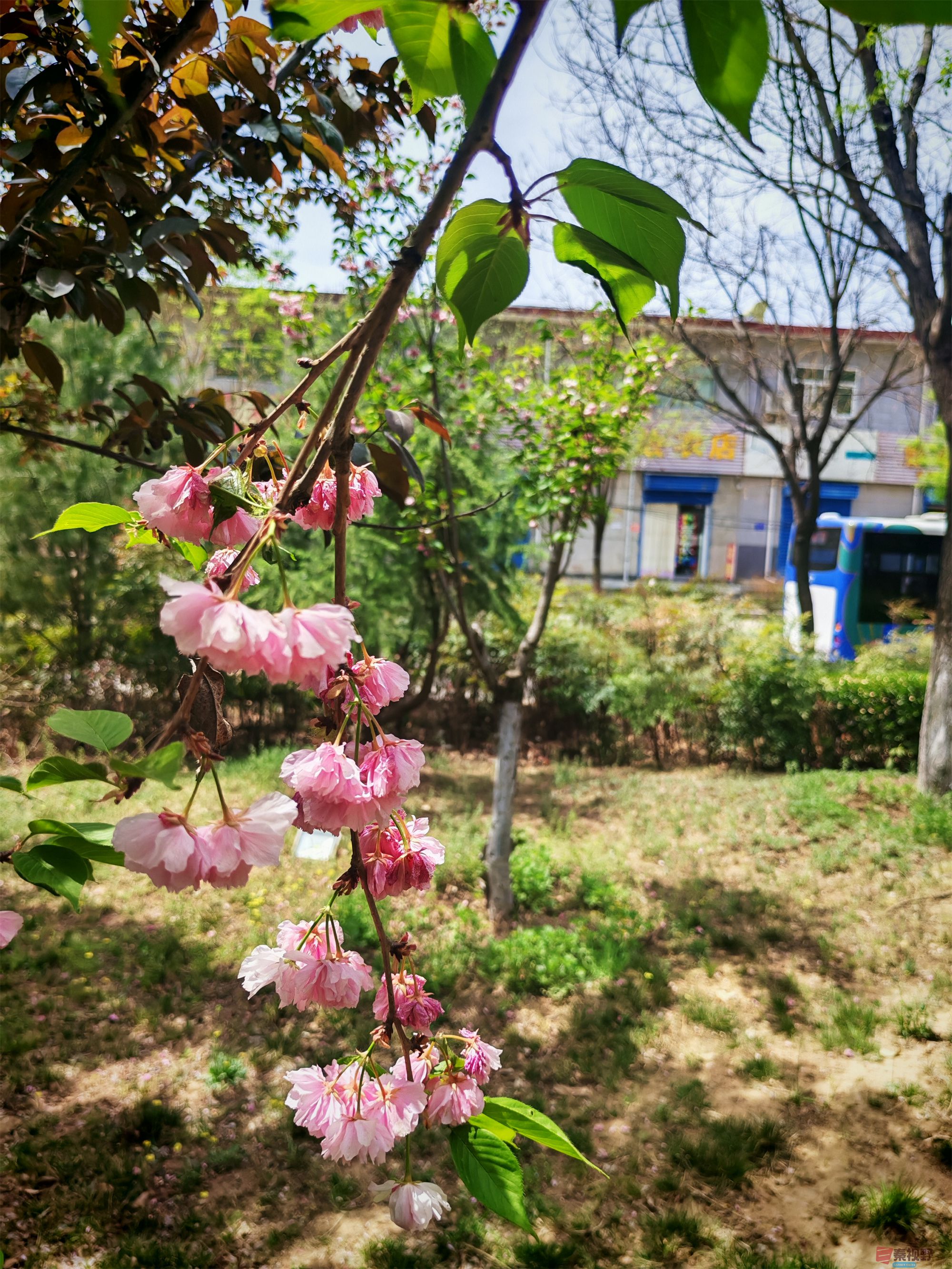 IMG_20250425_122459压缩 (102).jpg