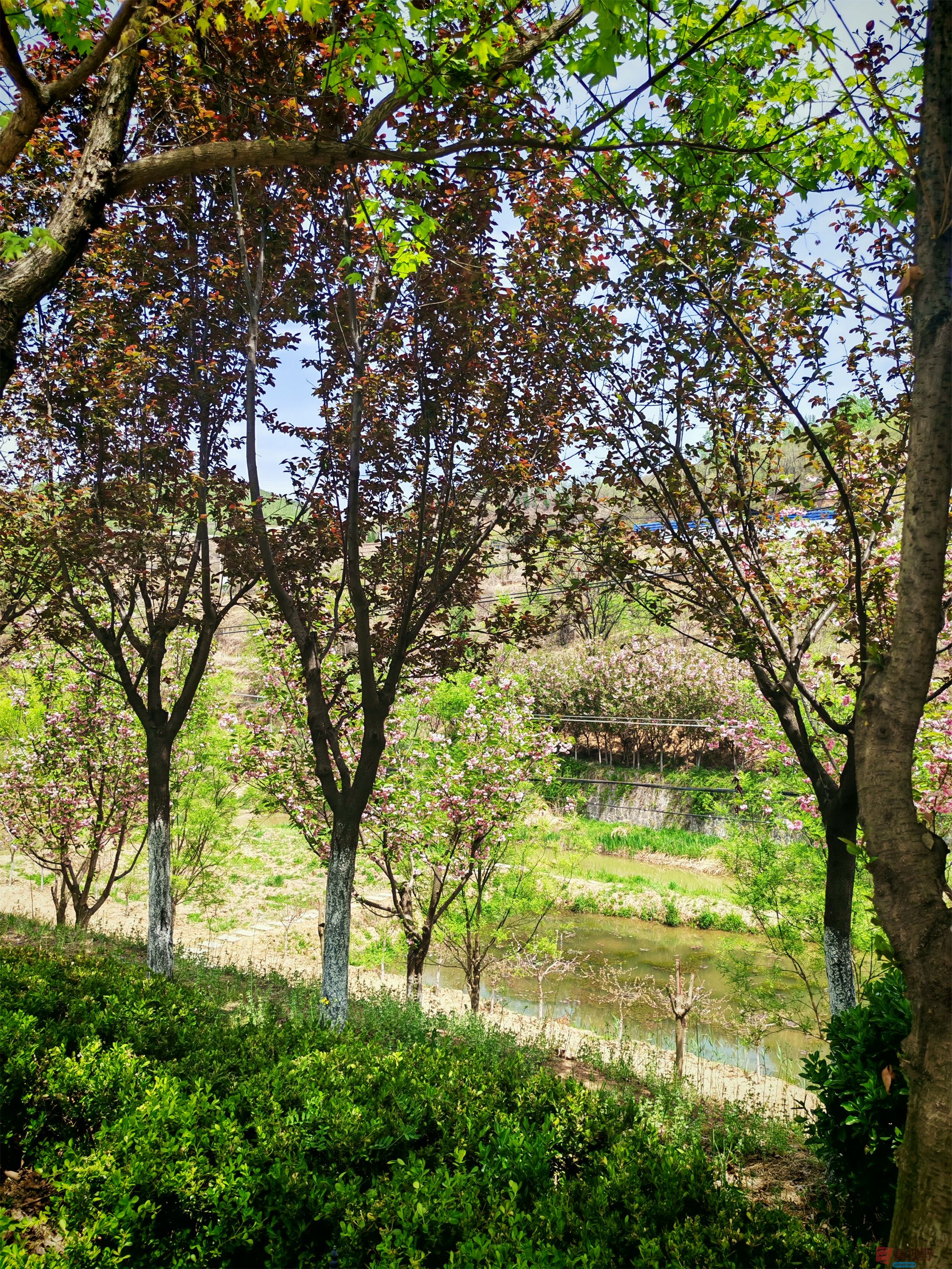 IMG_20250425_122459压缩 (125).jpg