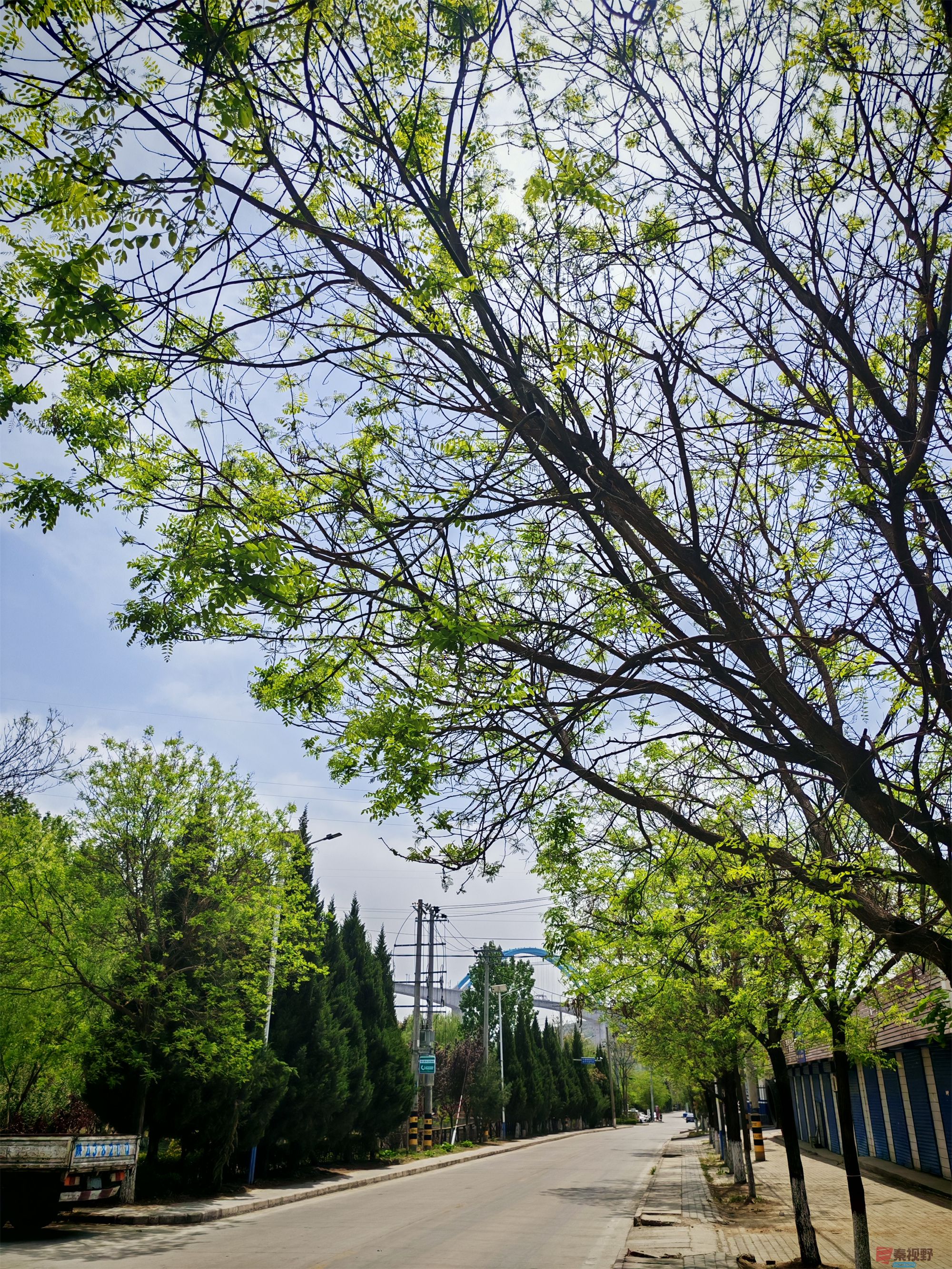 IMG_20250425_122459压缩 (177).jpg