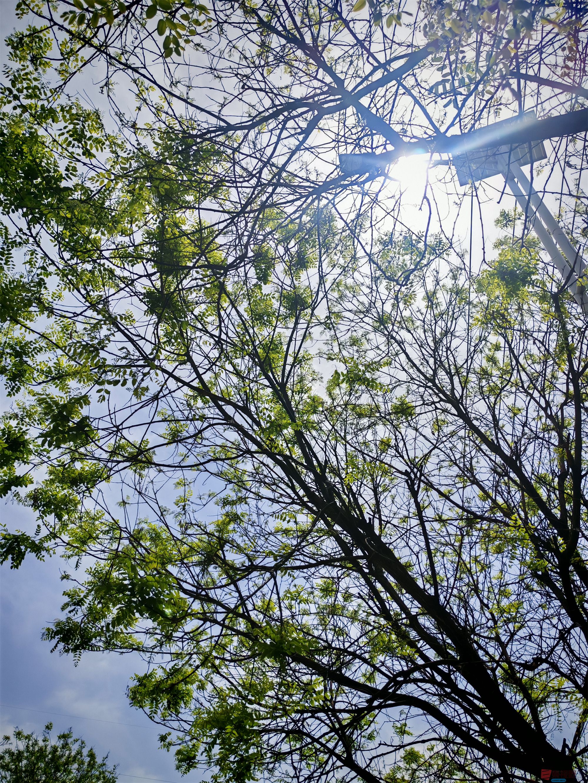 IMG_20250425_122459压缩 (178).jpg