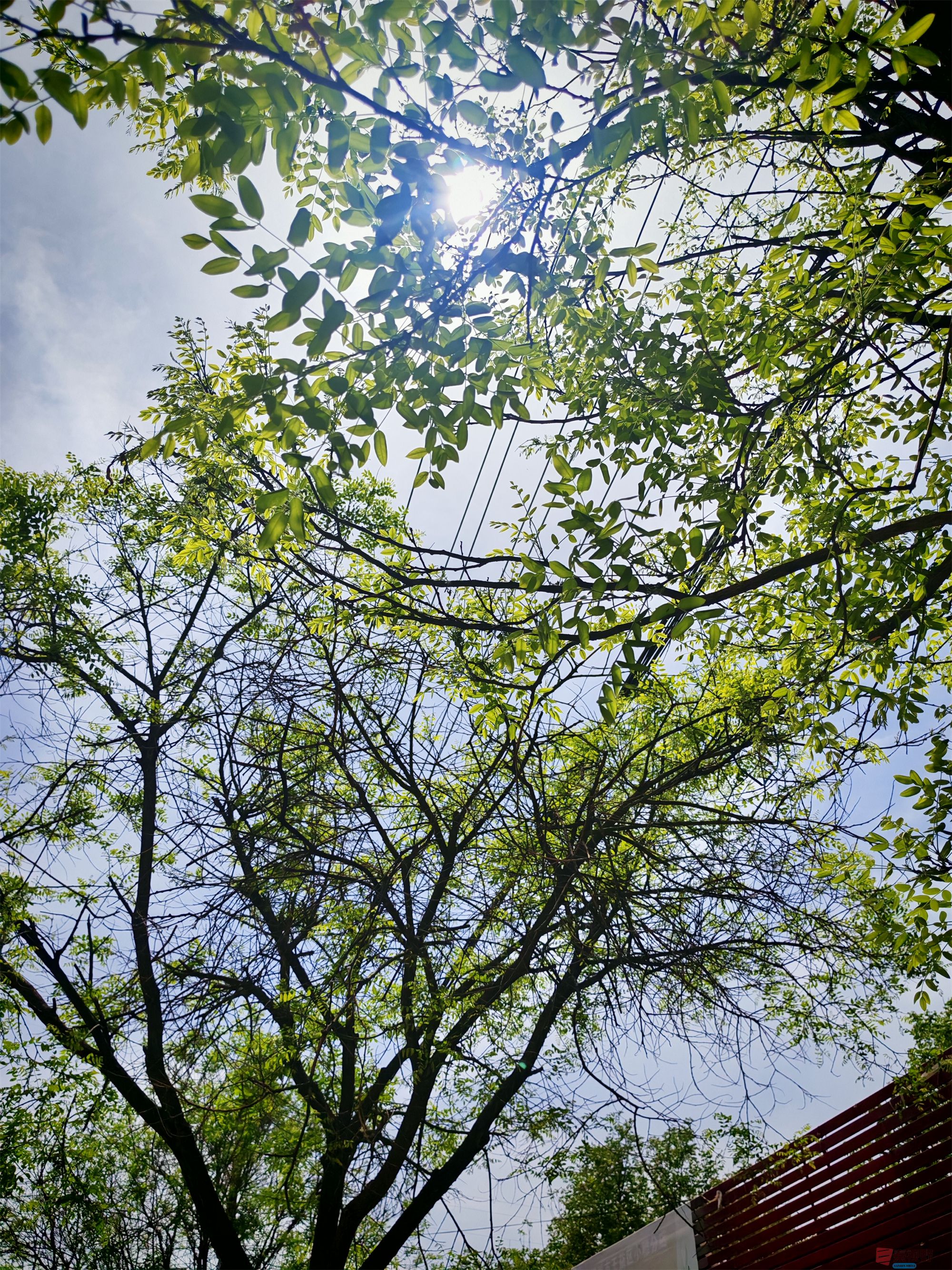 IMG_20250425_122459压缩 (181).jpg