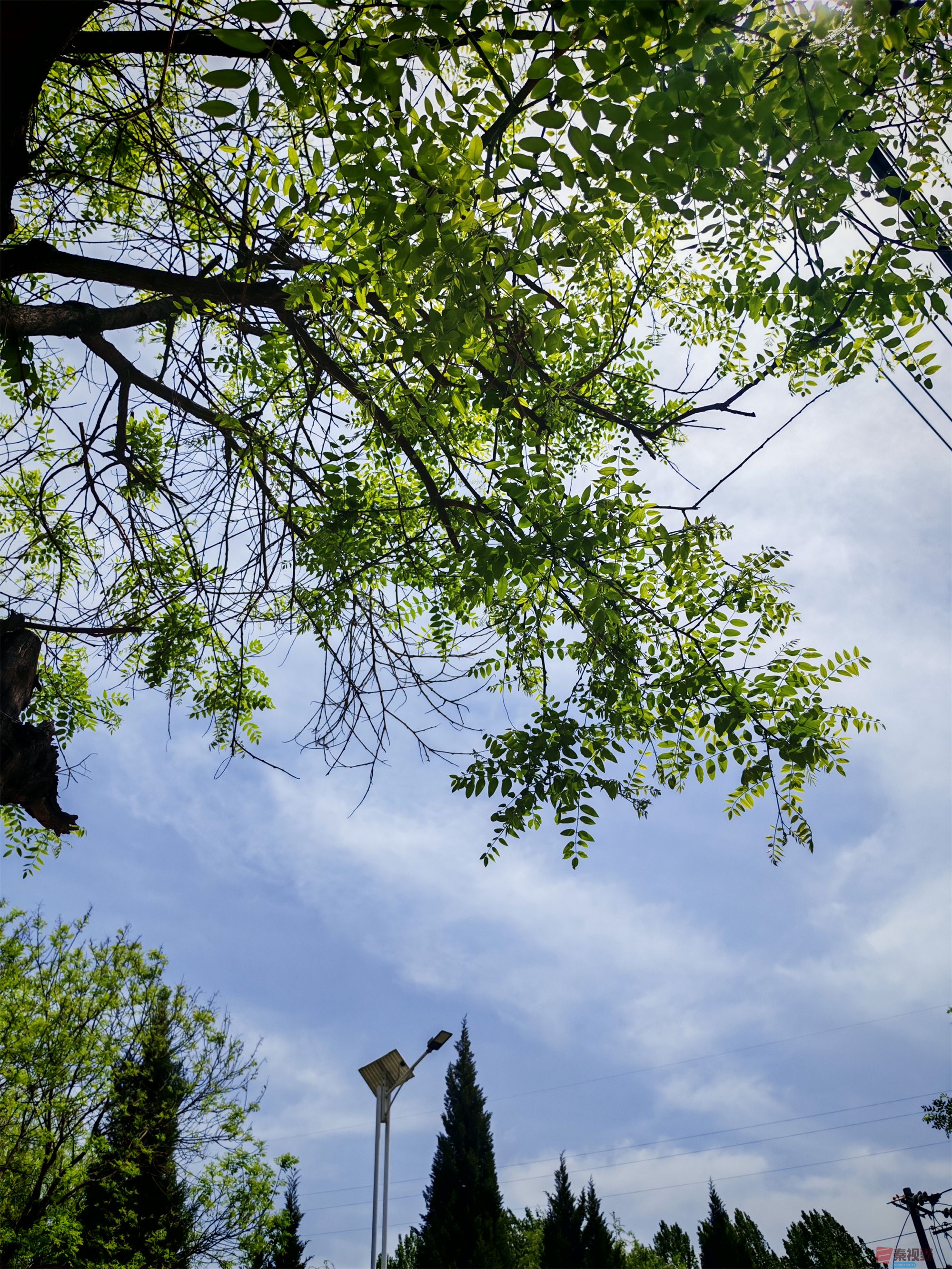 IMG_20250425_122459压缩 (186).jpg