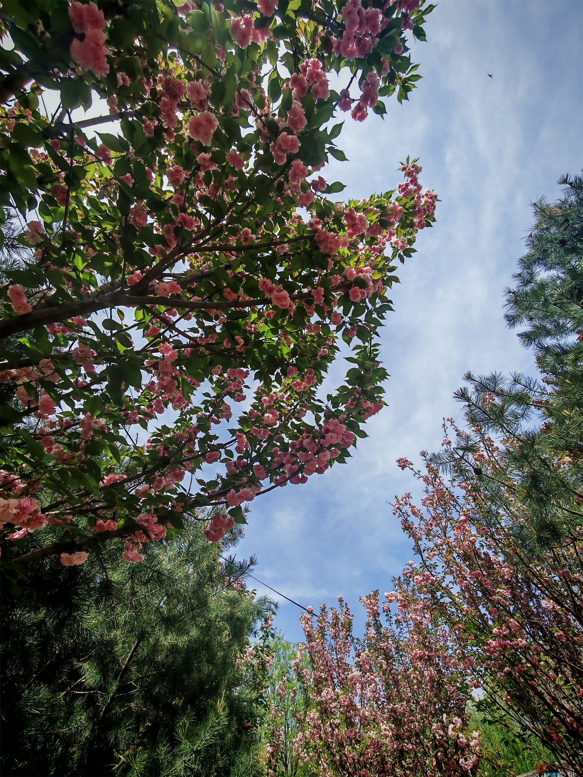 IMG_20250425_122459压缩 (146).jpg