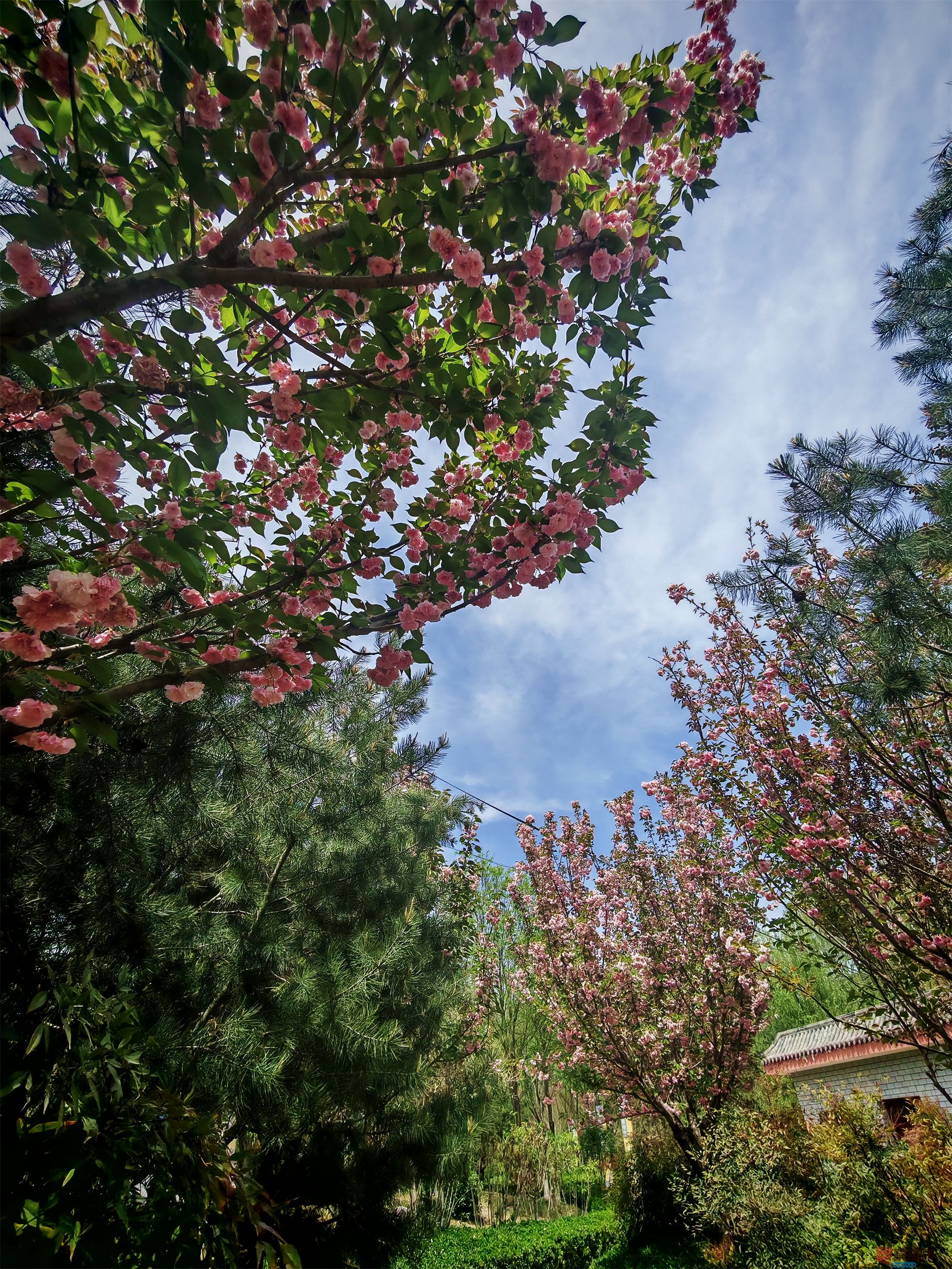 IMG_20250425_122459压缩 (147).jpg
