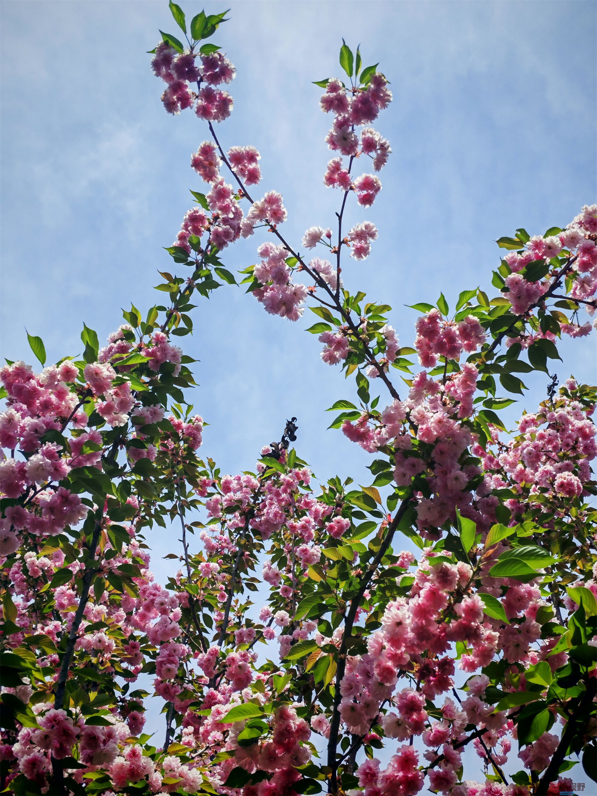 IMG_20250425_122459压缩 (151).jpg