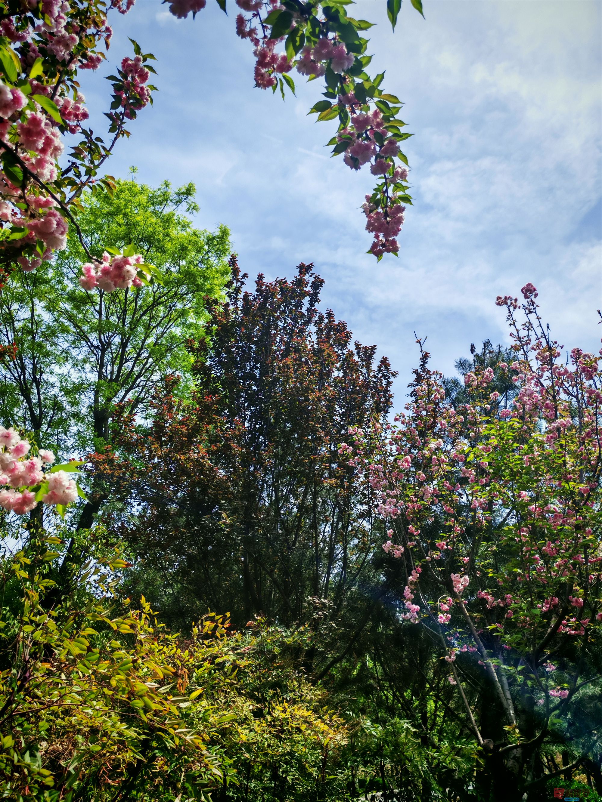 IMG_20250425_122459压缩 (159).jpg