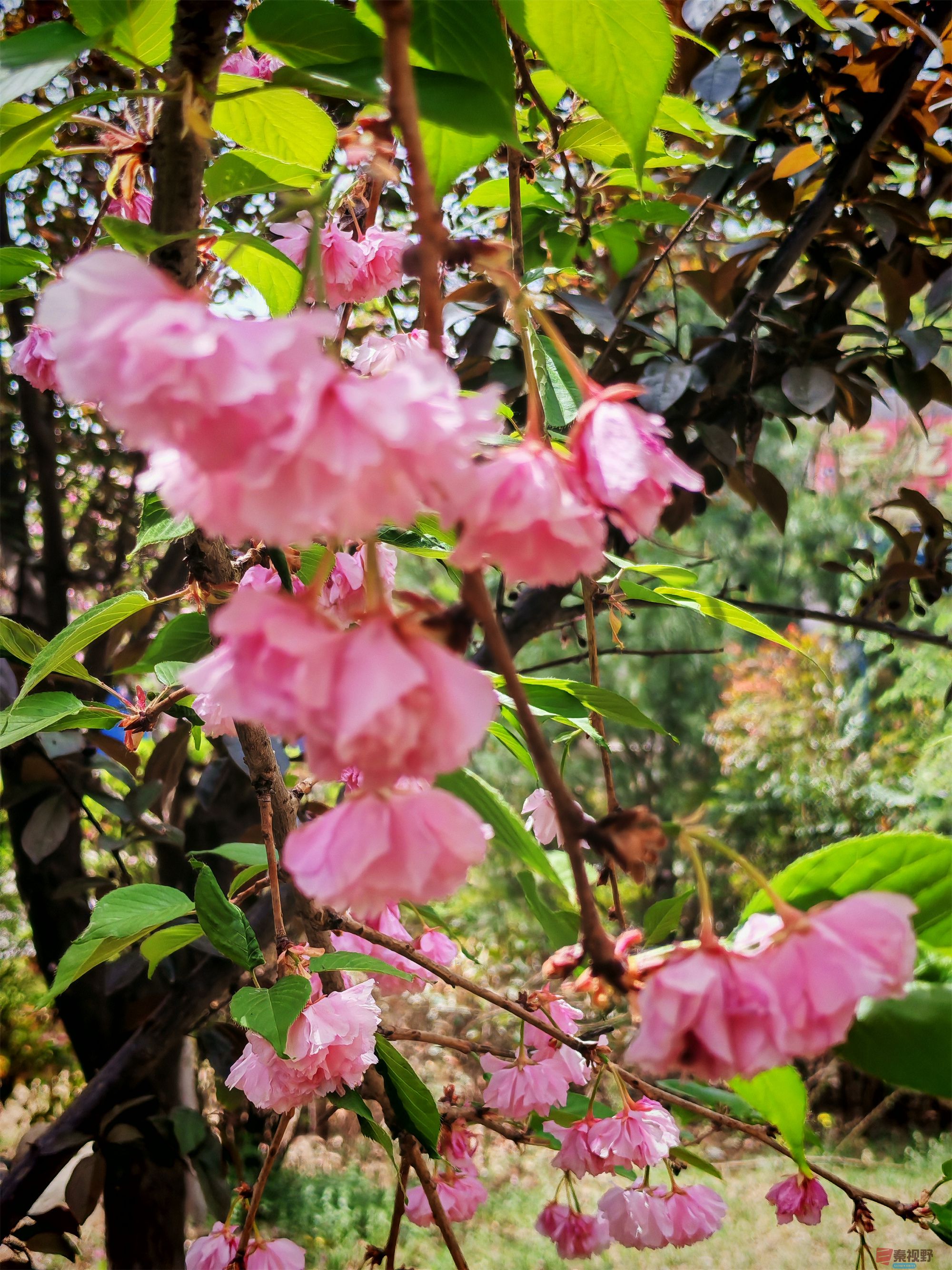 IMG_20250425_122459压缩 (116).jpg