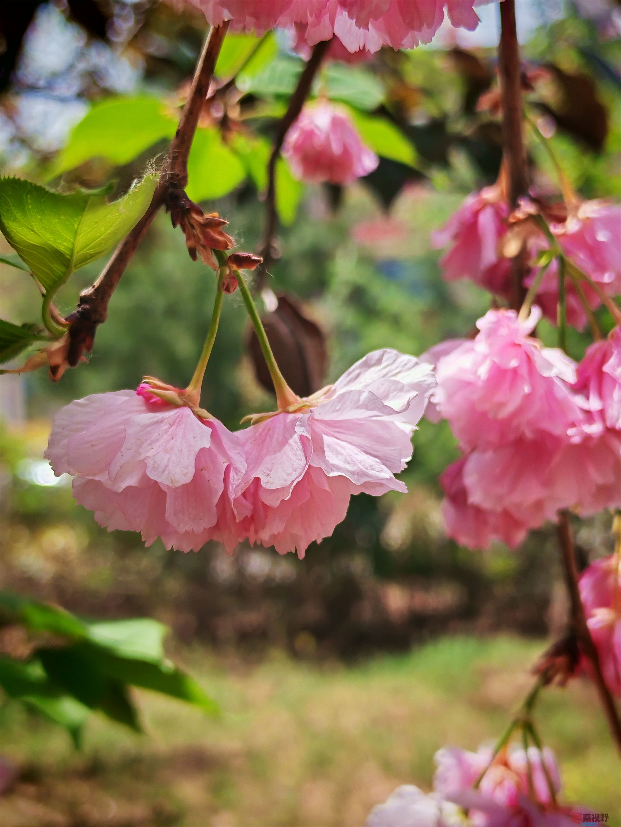 IMG_20250425_122459压缩 (117).jpg