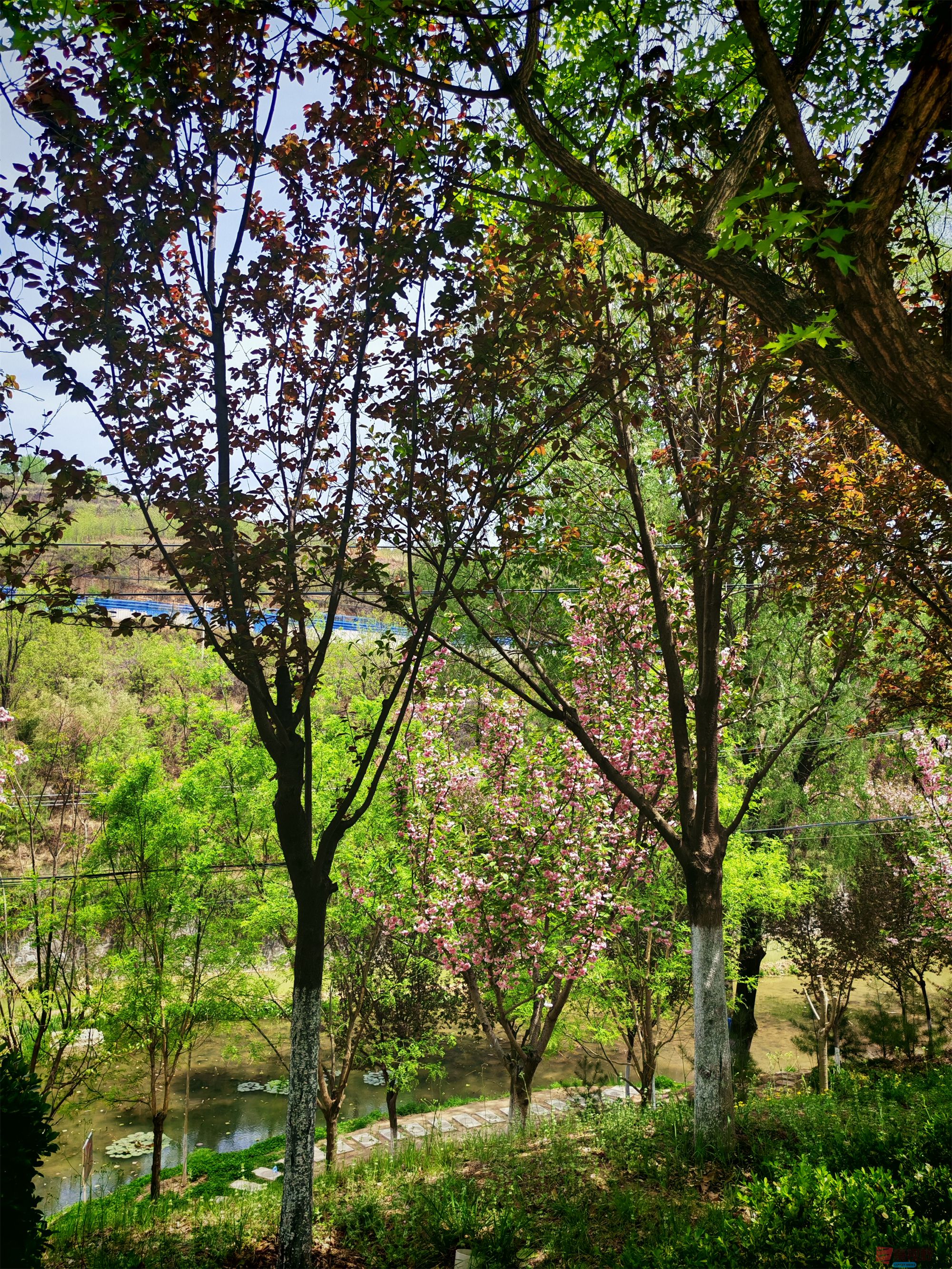 IMG_20250425_122459压缩 (124).jpg