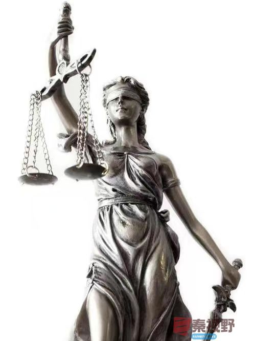 依据民法典：子女遗产父母继承权的判定与案例分析