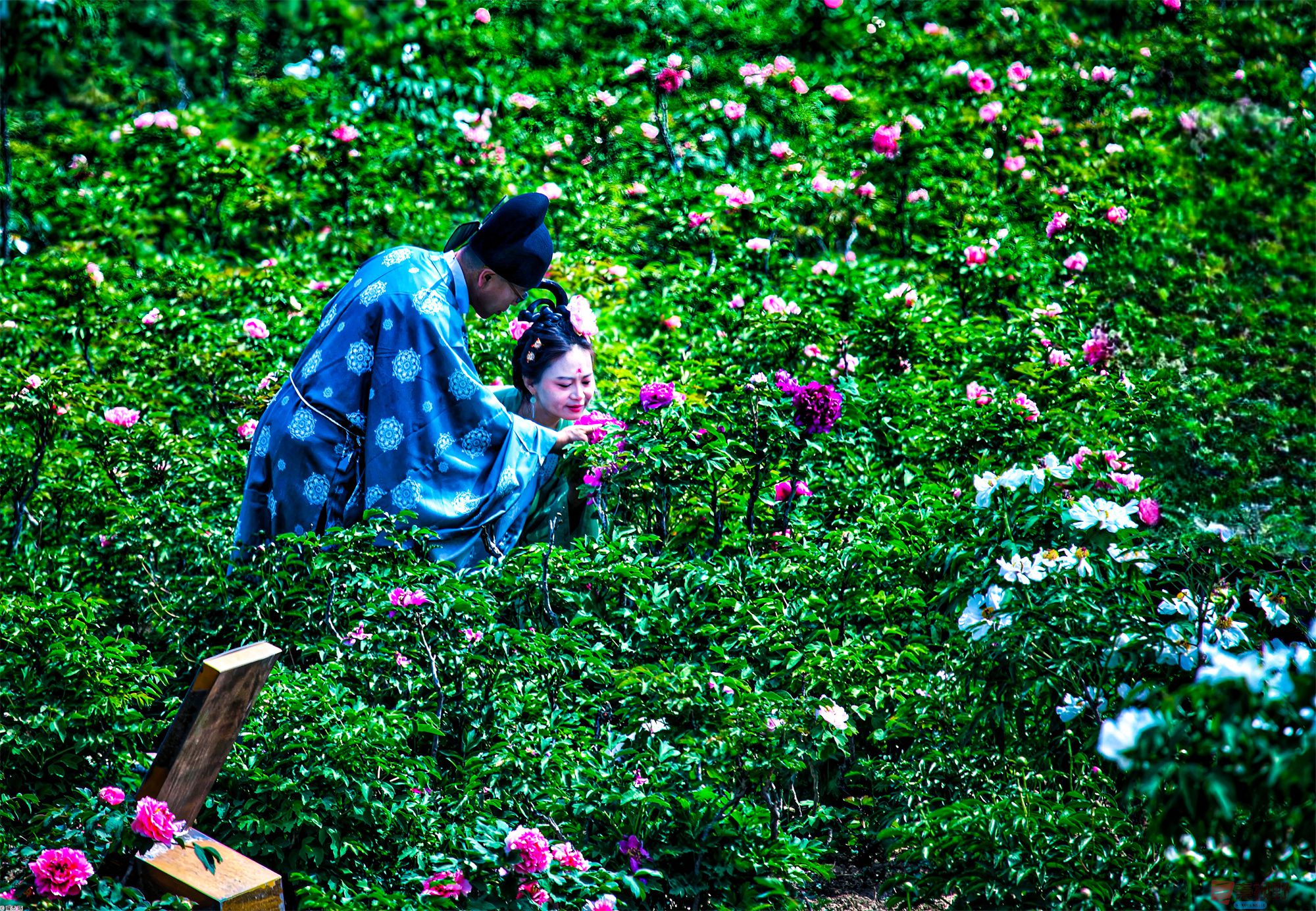 陈耀杰_20250501203338 (6).jpg
