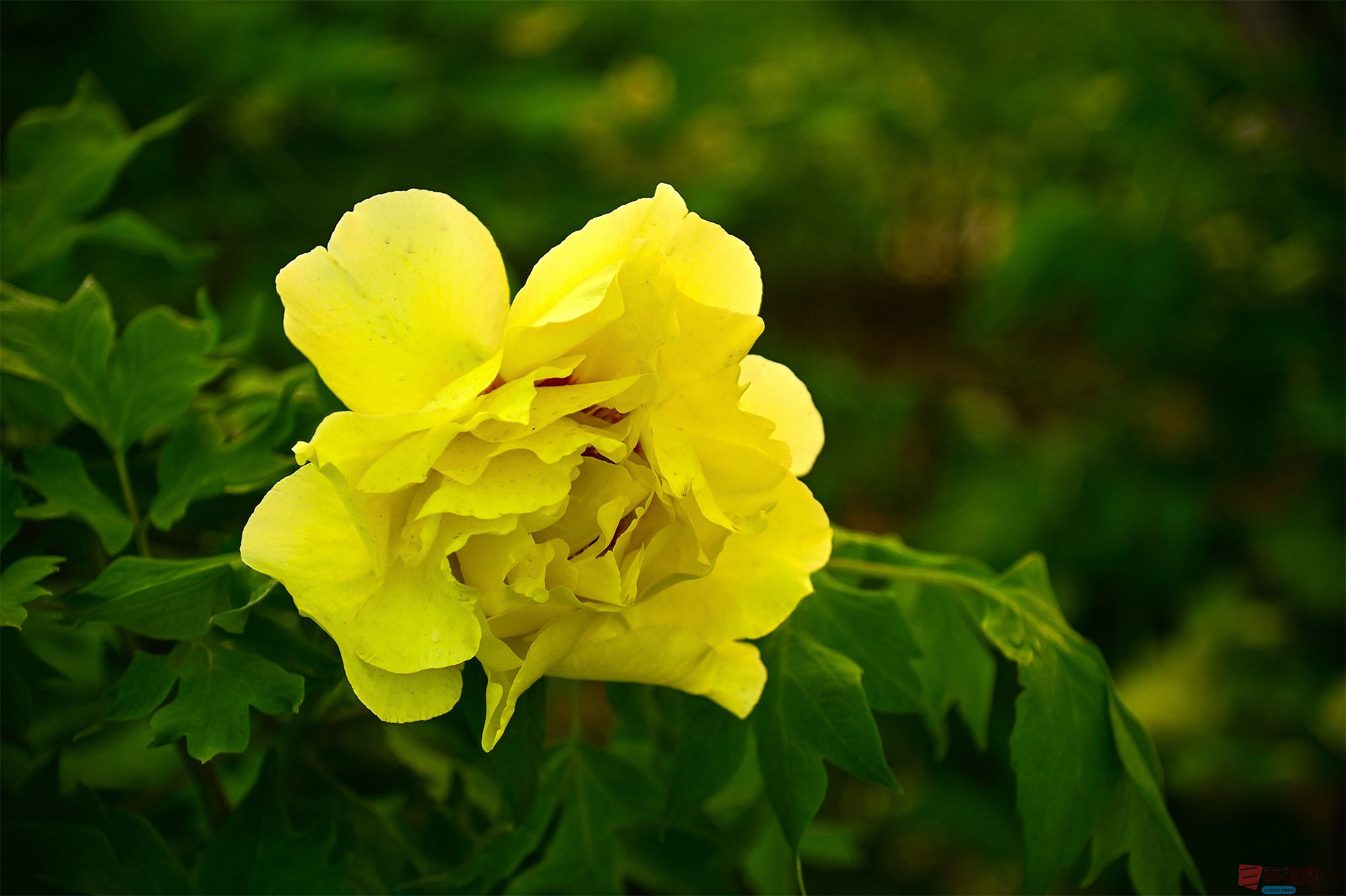 肖宝清_20250501202335 (7).jpg