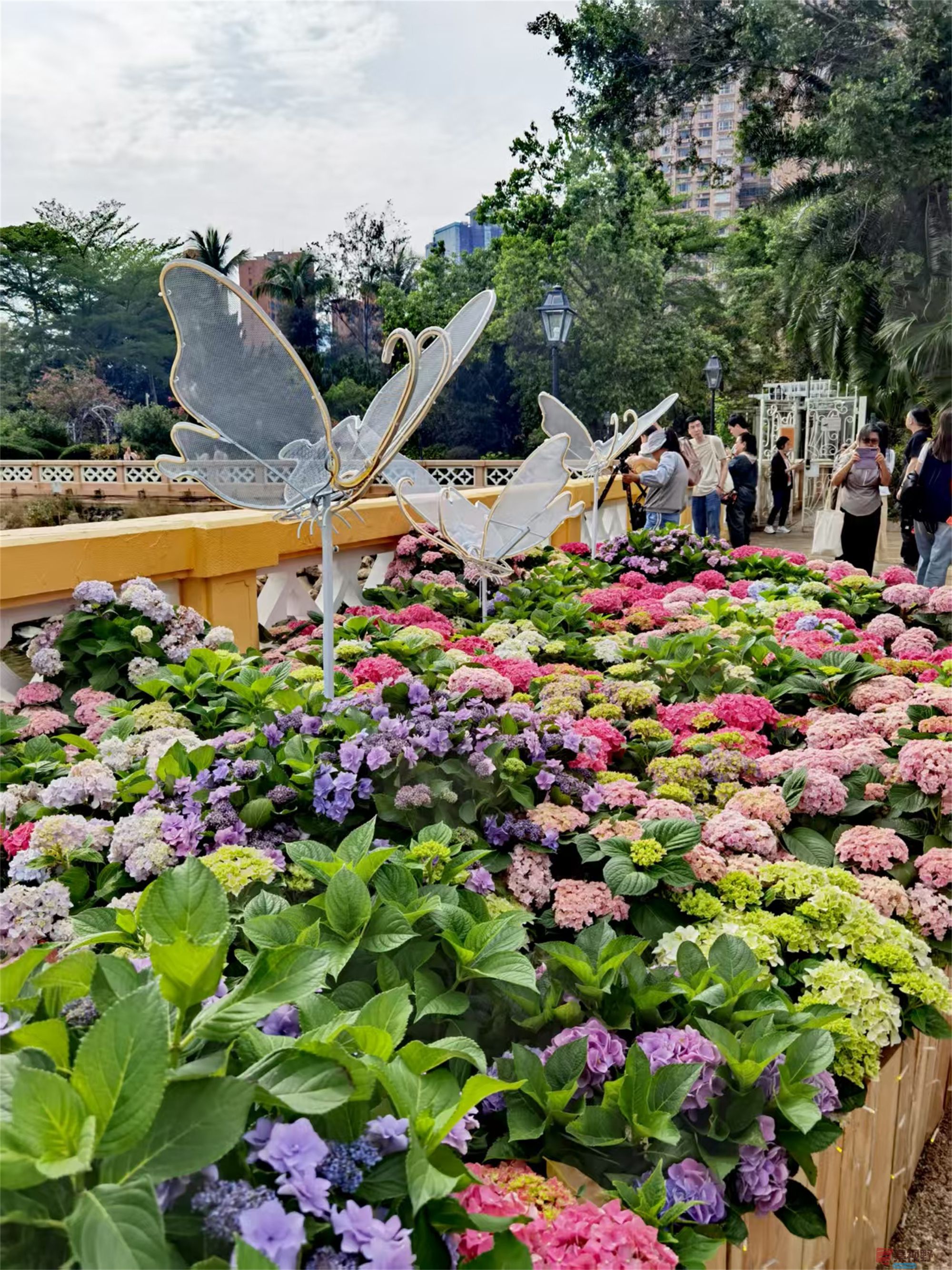 王耀林_20250501194203 (2).jpg